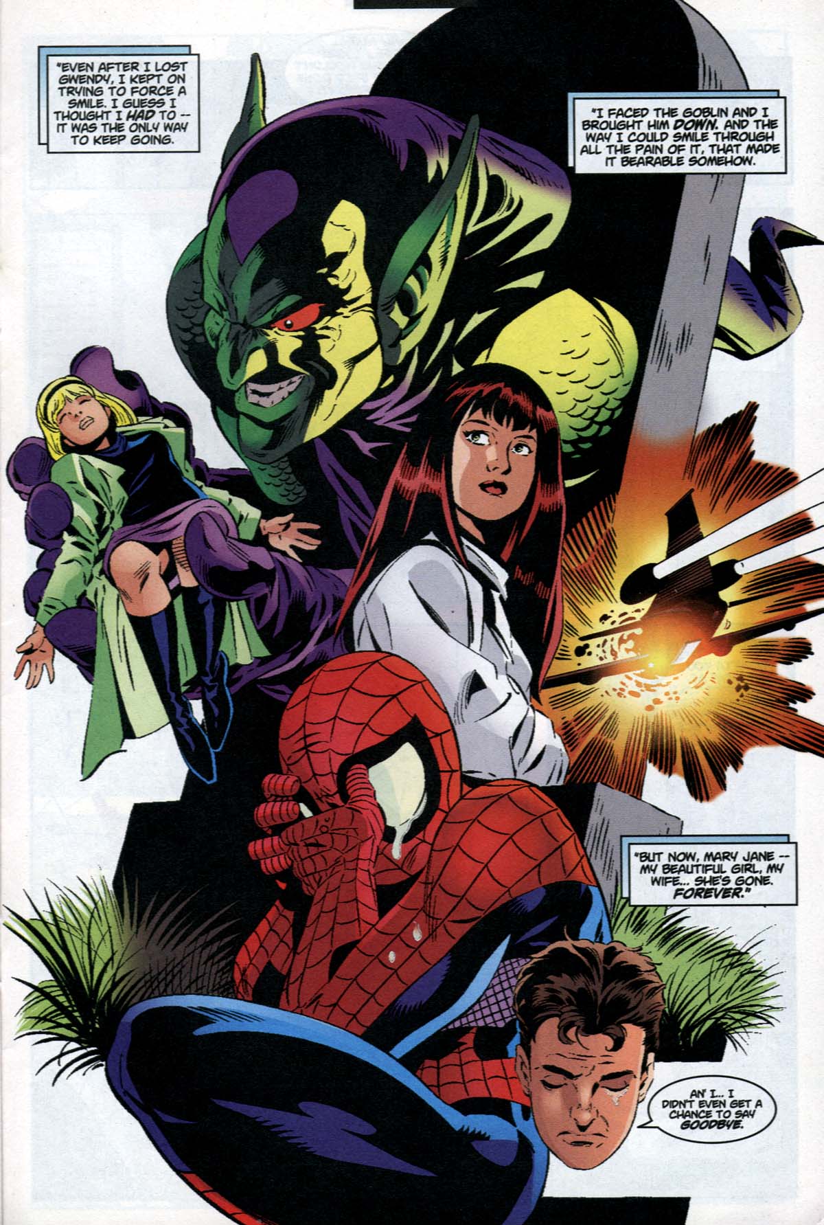 Read online Peter Parker: Spider-Man comic -  Issue #20 - 16