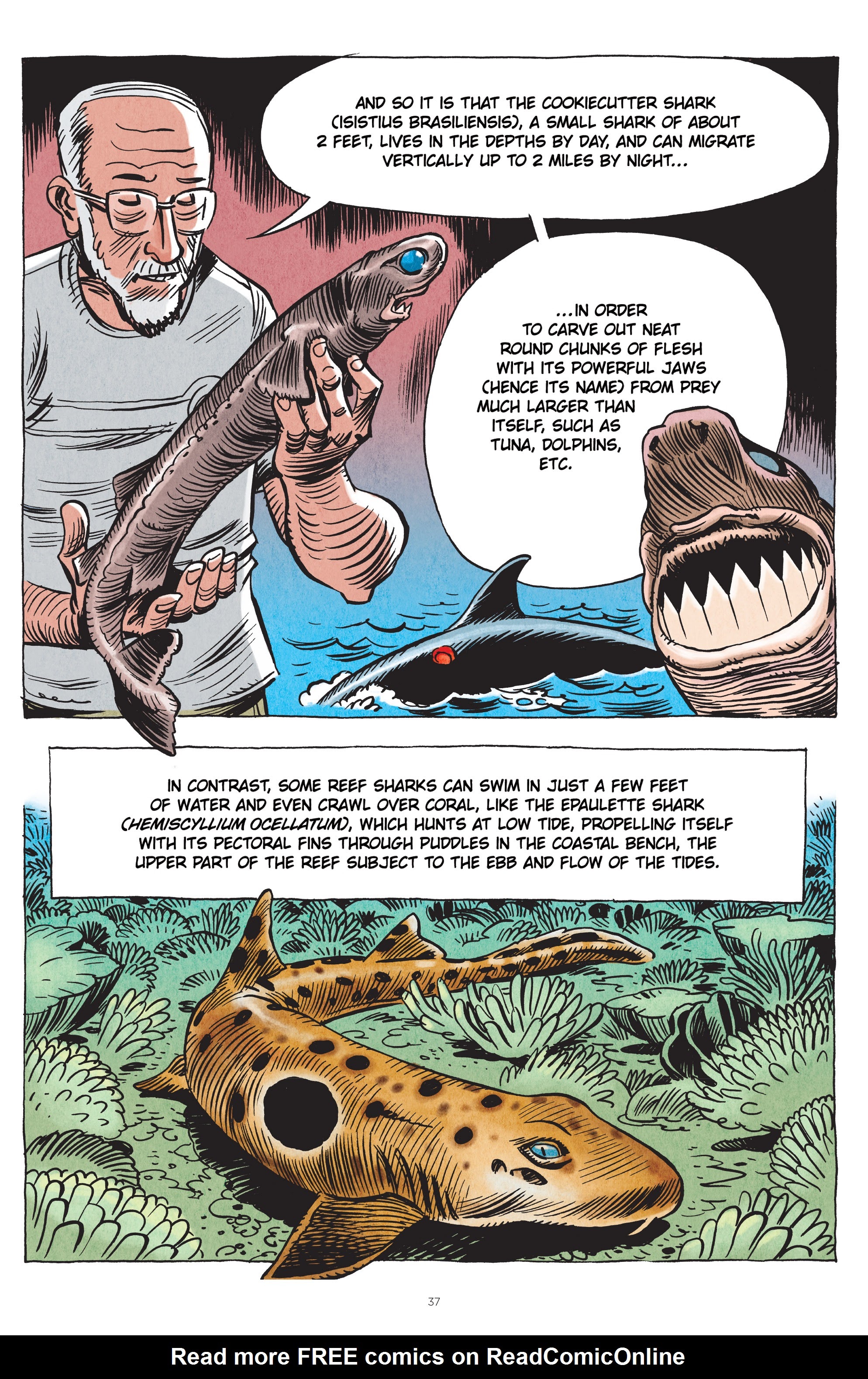 Read online Little Book of Knowledge: Sharks comic -  Issue # TPB - 37