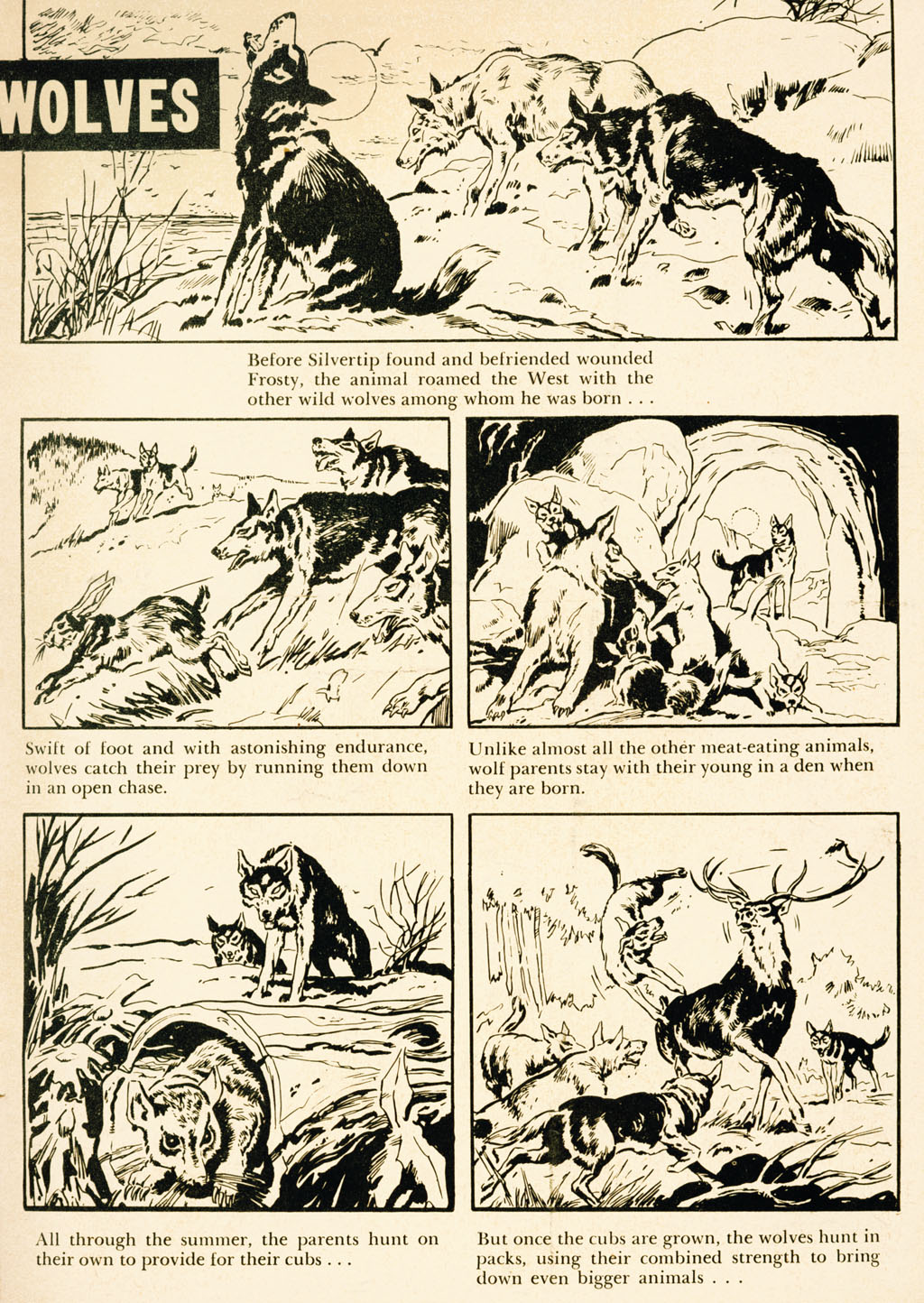 Read online Four Color Comics comic -  Issue #789 - 35