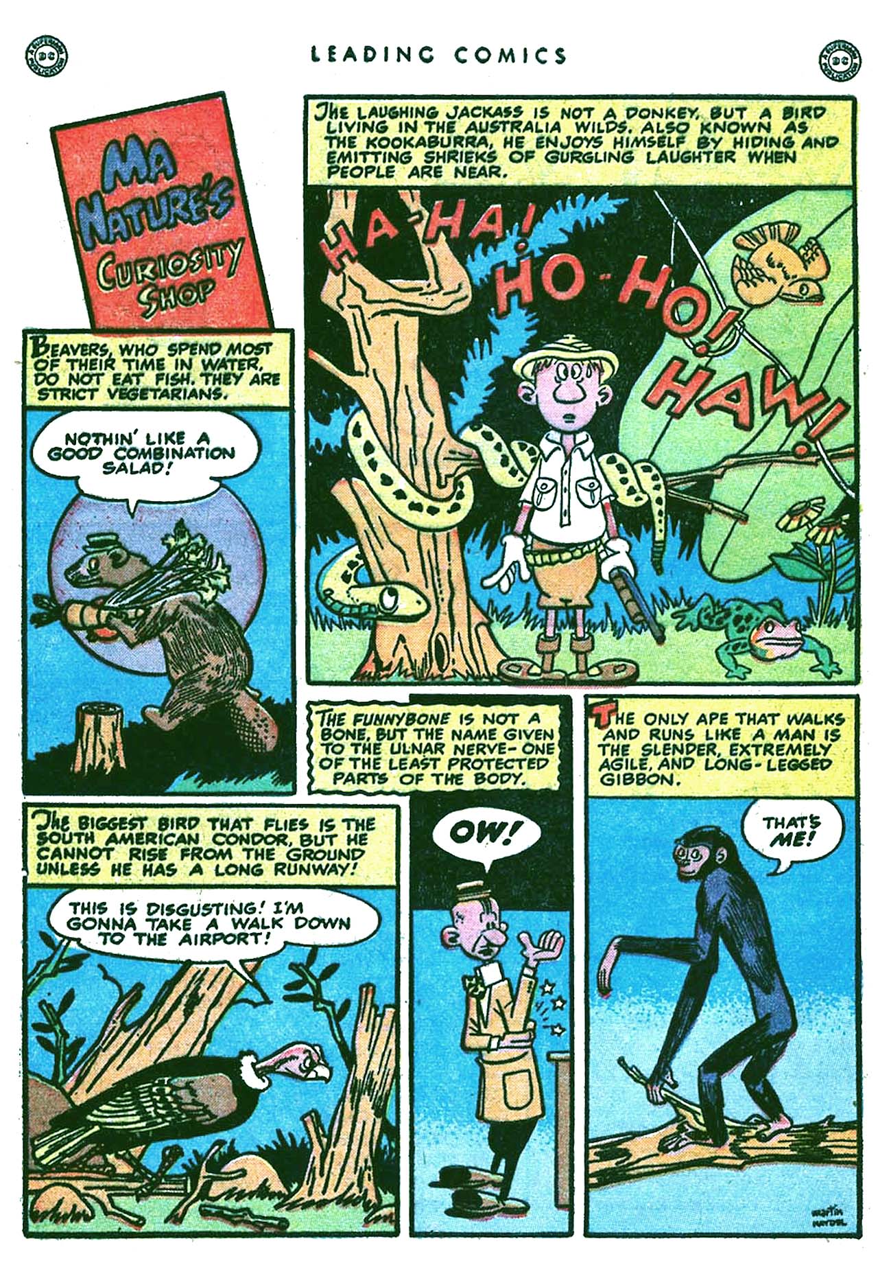 Read online Leading Comics comic -  Issue #35 - 40