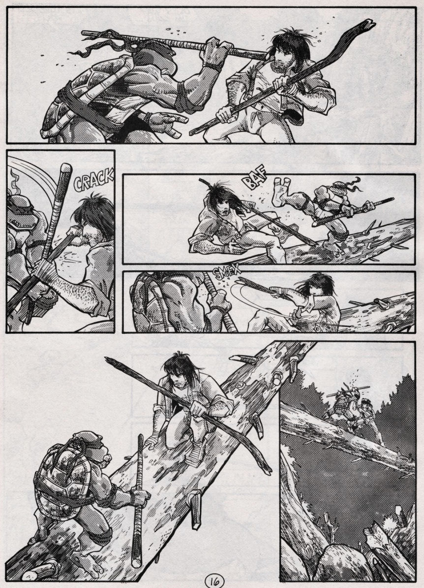 Teenage Mutant Ninja Turtles (1984) Issue #49 #49 - English 16