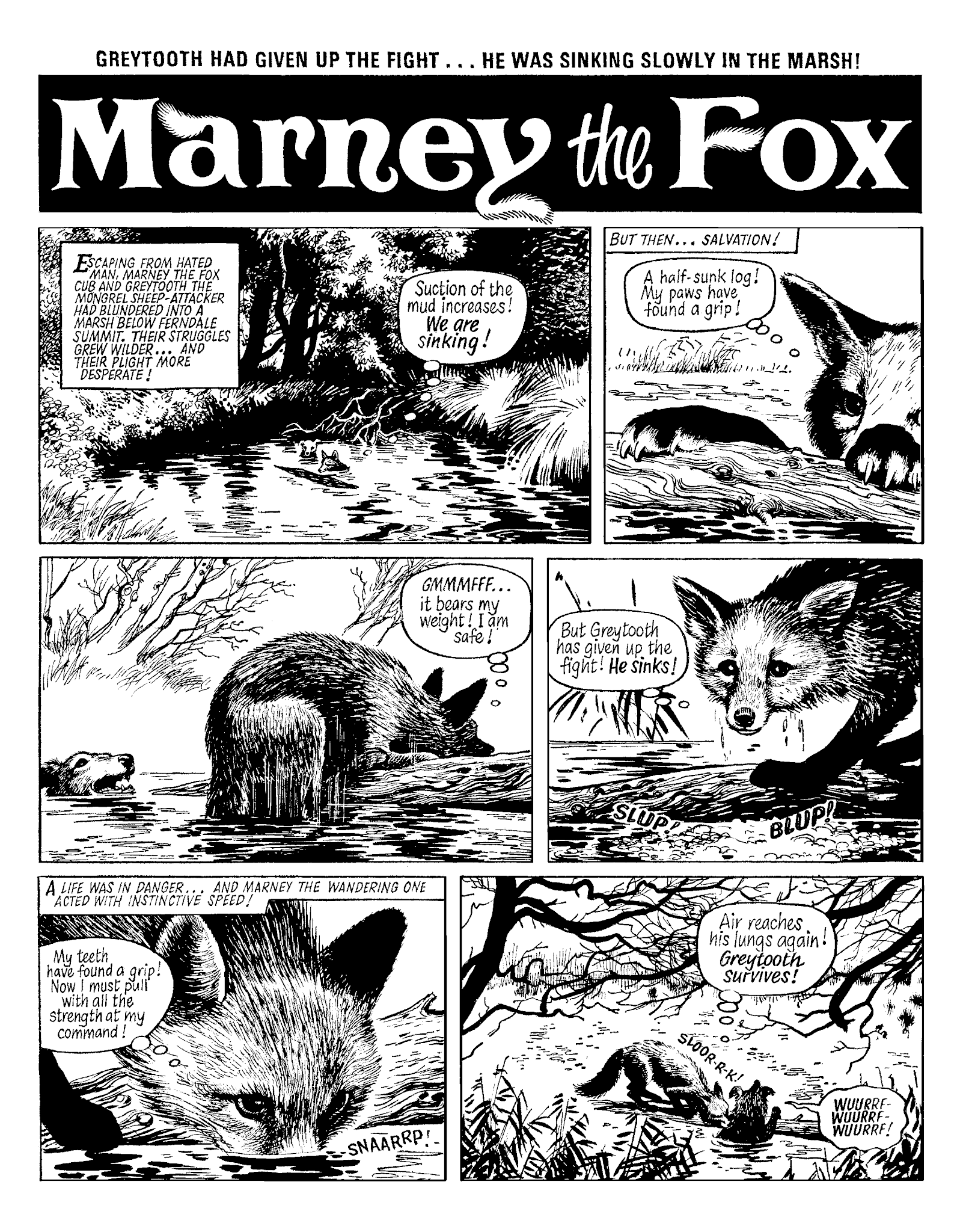 Read online Marney the Fox comic -  Issue # TPB (Part 1) - 63