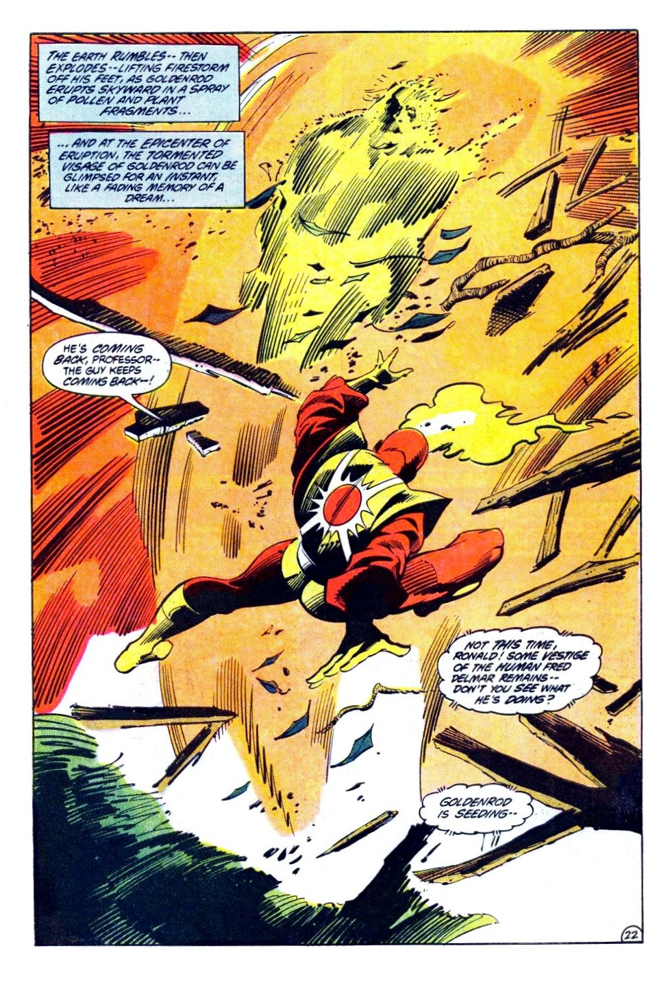 The Fury of Firestorm Issue #19 #23 - English 23