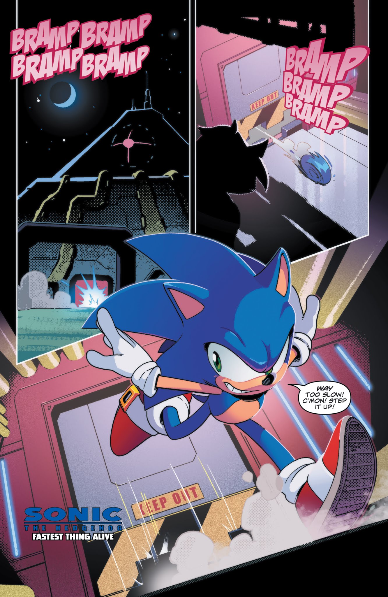 Read online Sonic the Hedgehog (2018) comic -  Issue #8 - 5