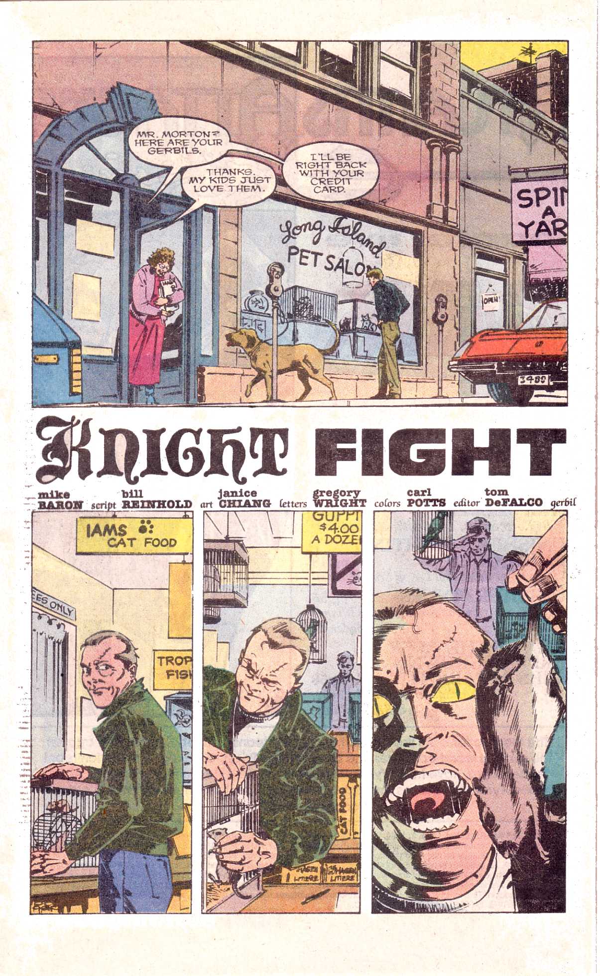 Read online The Punisher (1987) comic -  Issue # _Annual 2 - 3