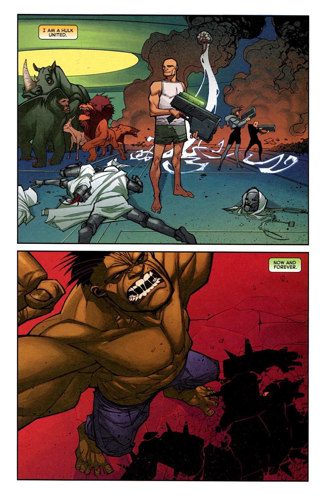 Incredible Hulk (2011) issue 15 - Page 19