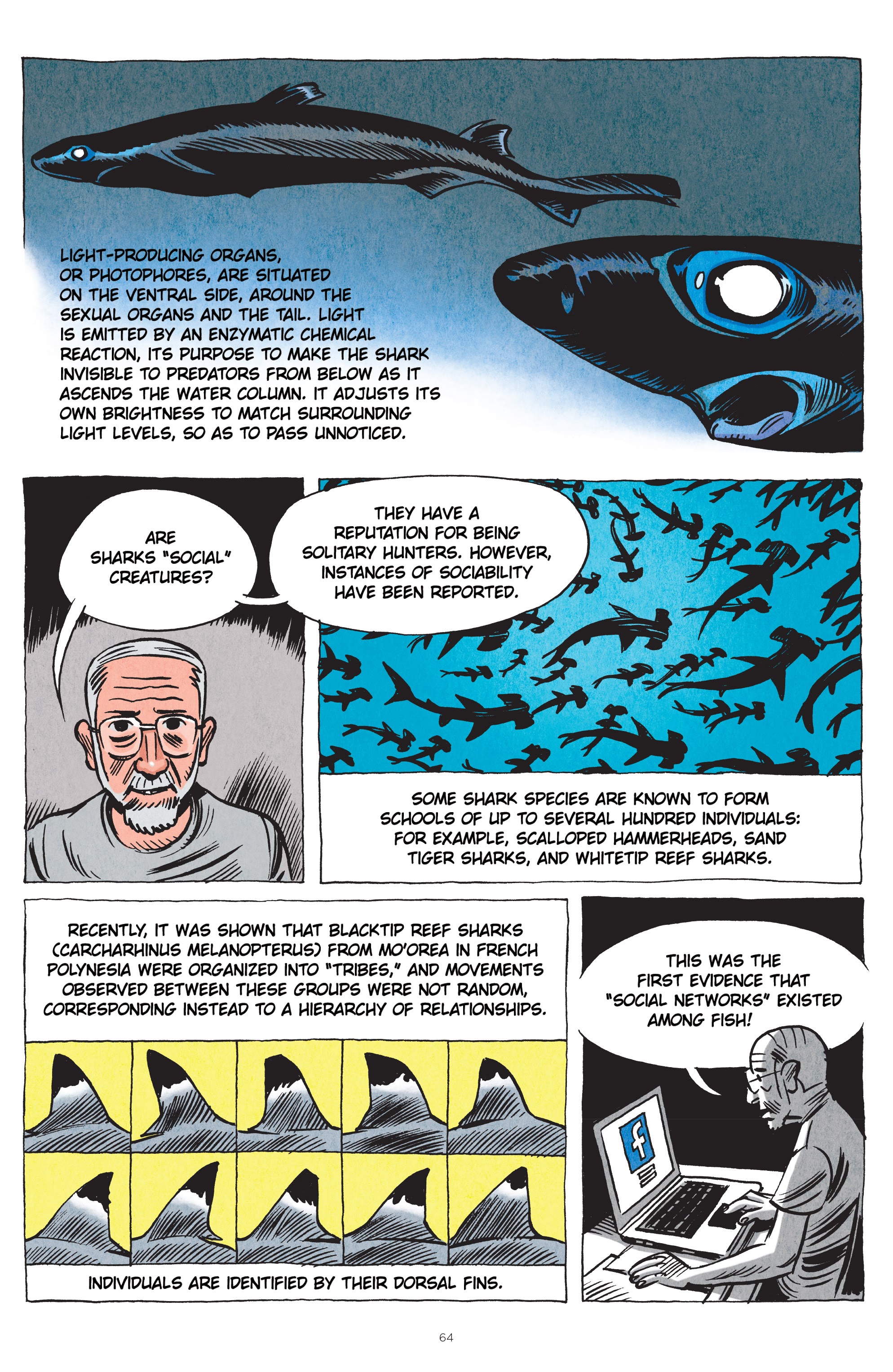 Read online Little Book of Knowledge: Sharks comic -  Issue # TPB - 64