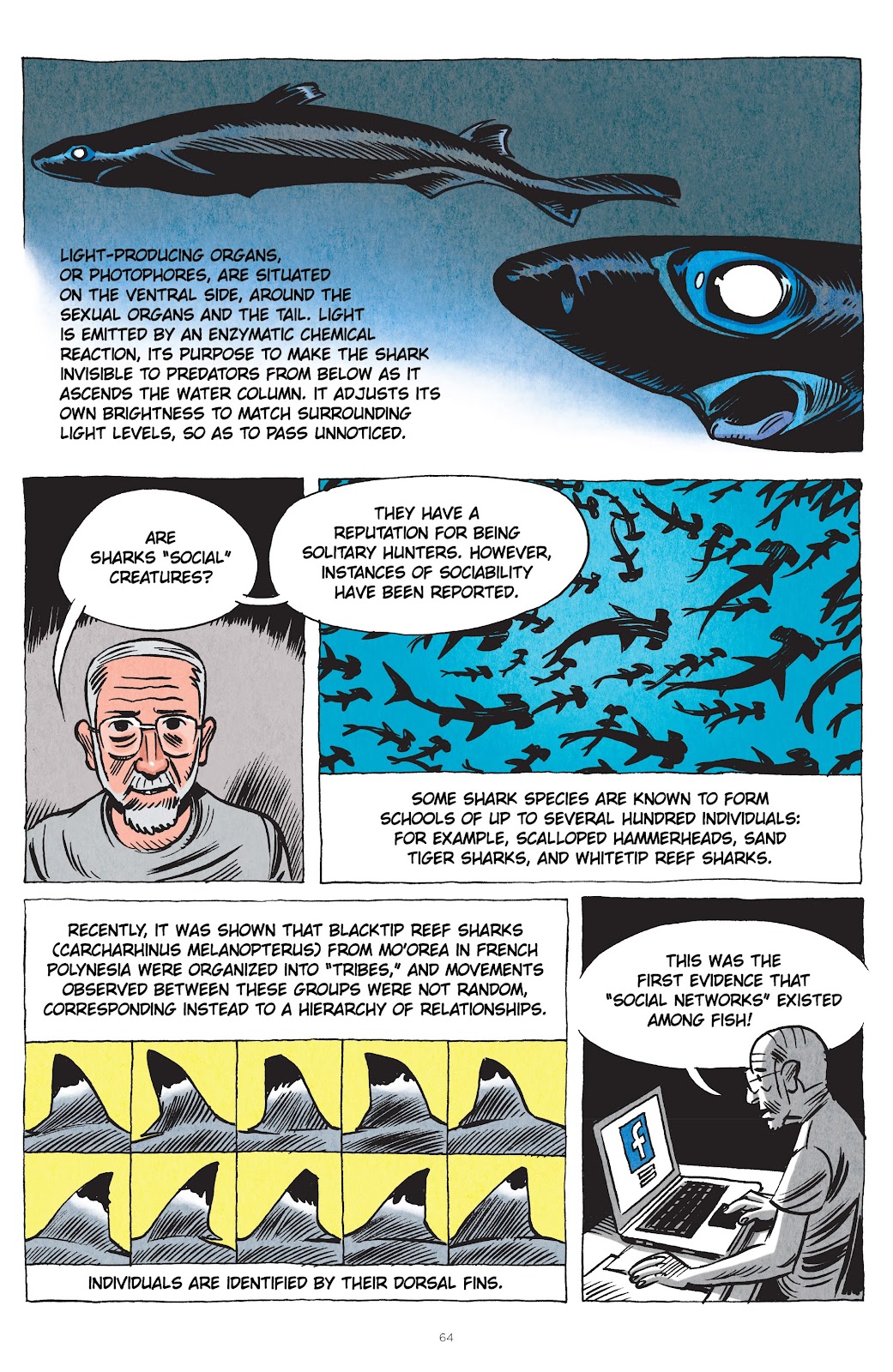Little Book of Knowledge: Sharks issue TPB - Page 64