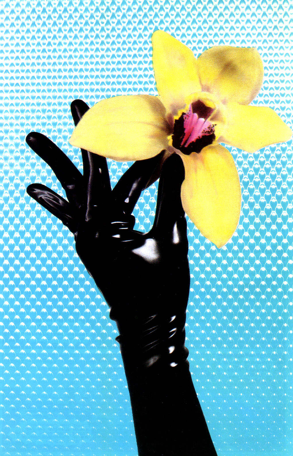 Read online New Statesmen comic -  Issue # TPB - 196