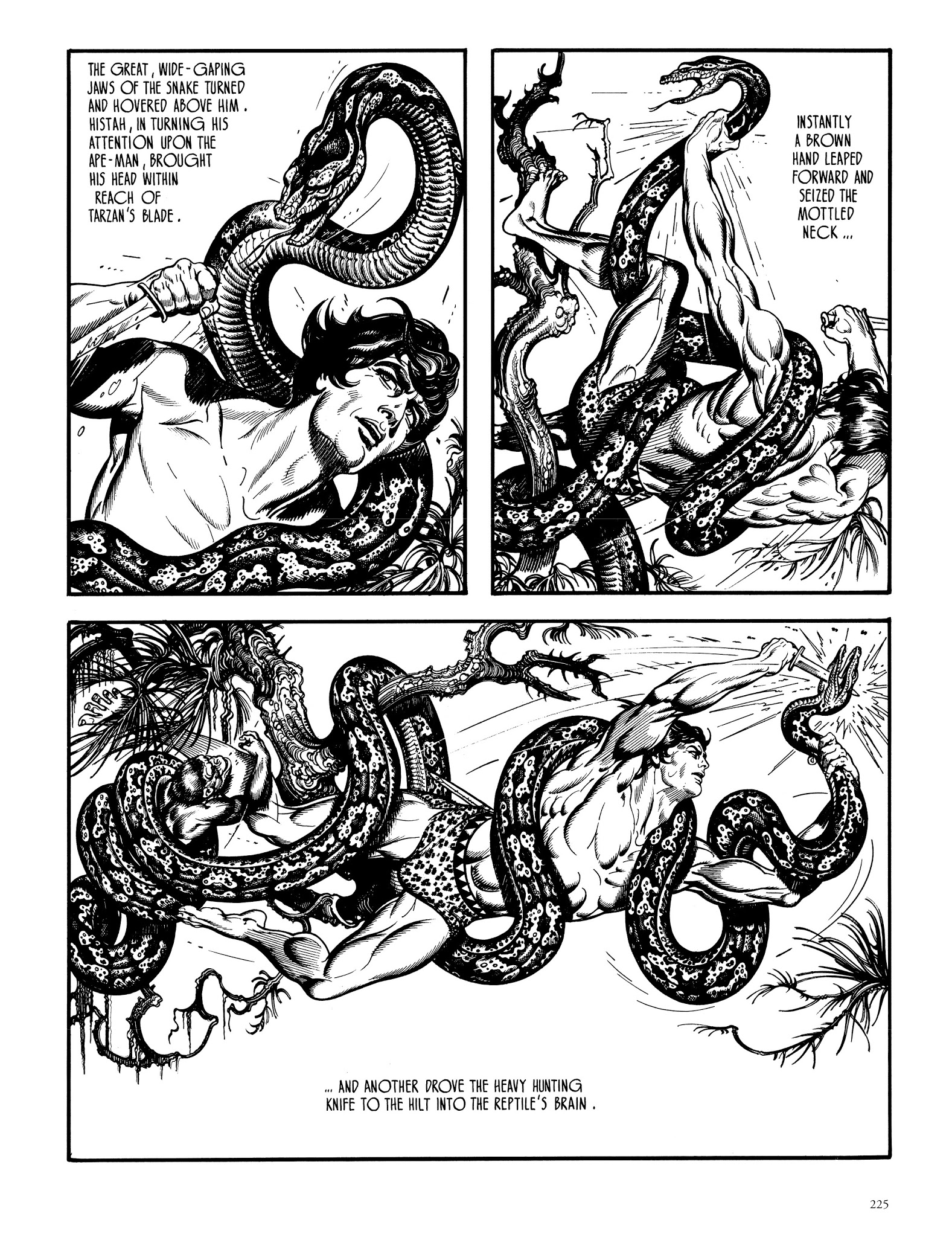 Read online Edgar Rice Burroughs' Tarzan: Burne Hogarth's Lord of the Jungle comic -  Issue # TPB - 224