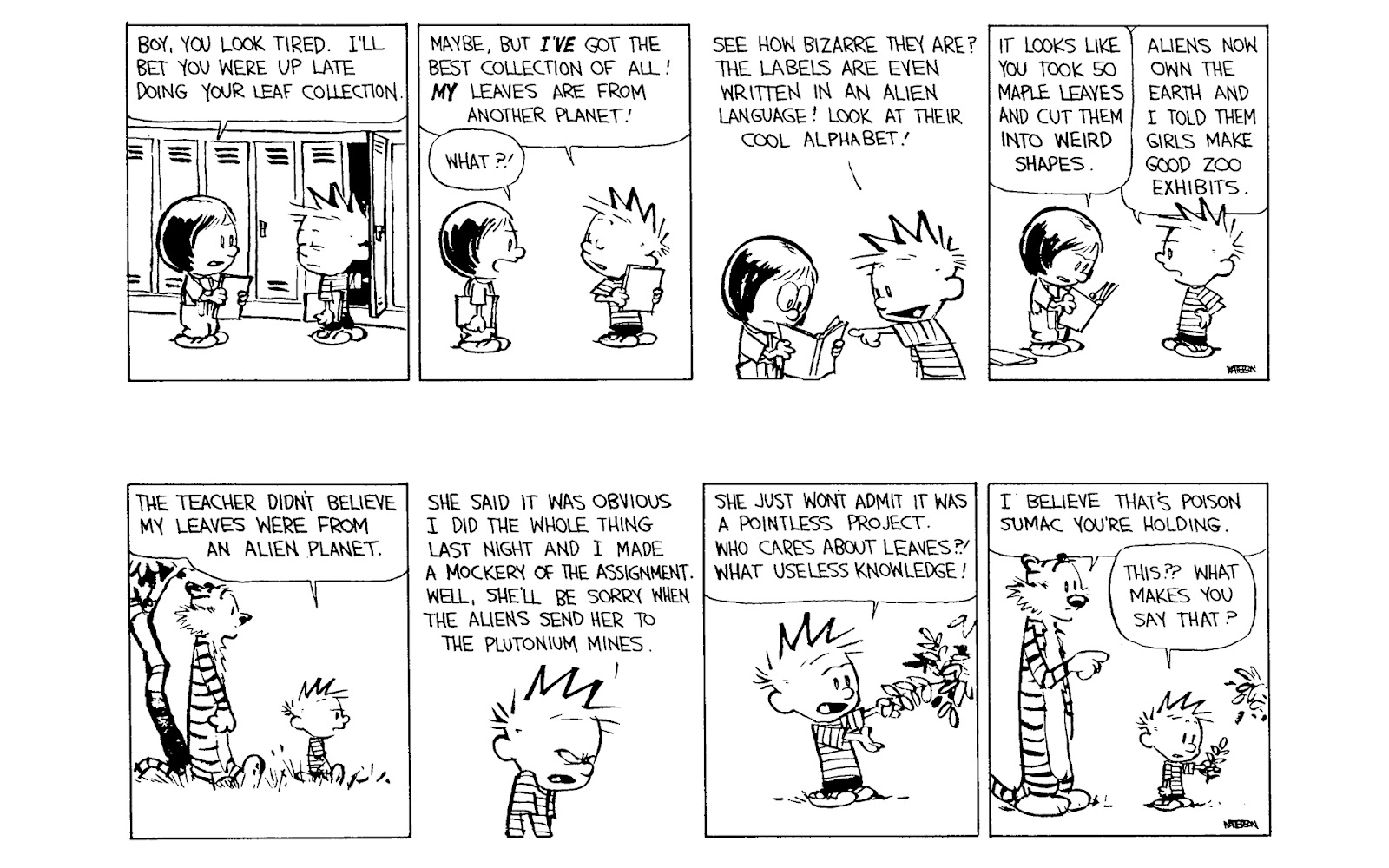 Calvin and Hobbes issue 11 - Page 120