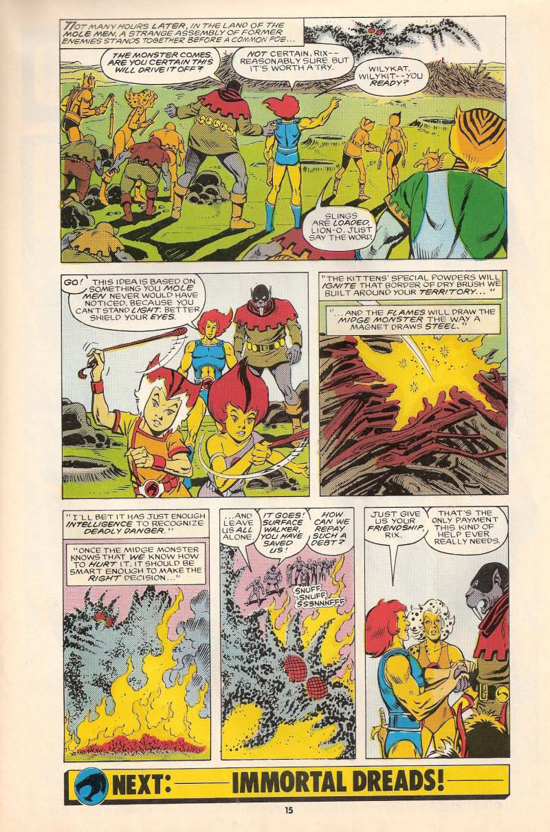 Read online ThunderCats (1987) comic -  Issue #20 - 15
