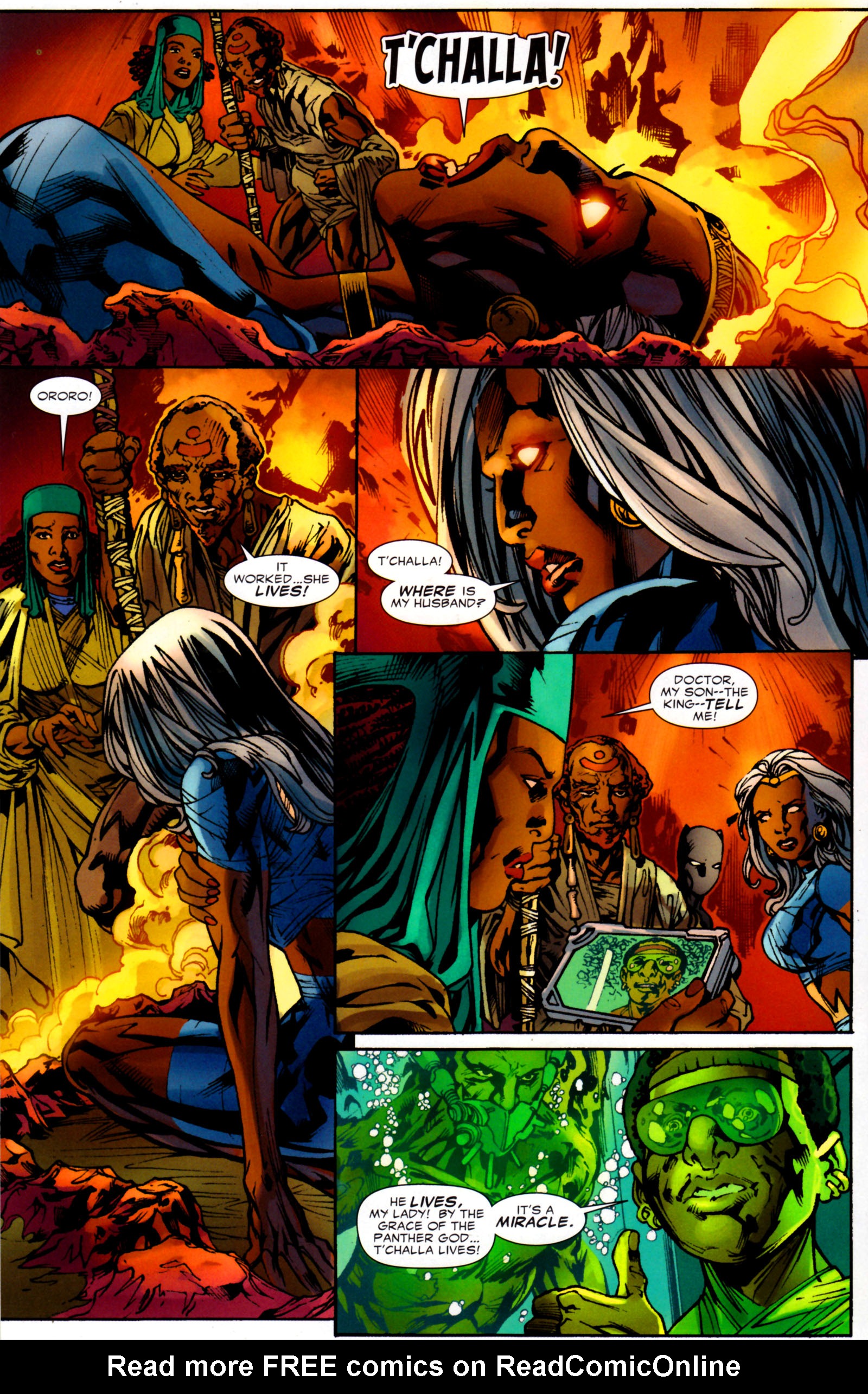 Read online Black Panther (2009) comic -  Issue #6 - 29