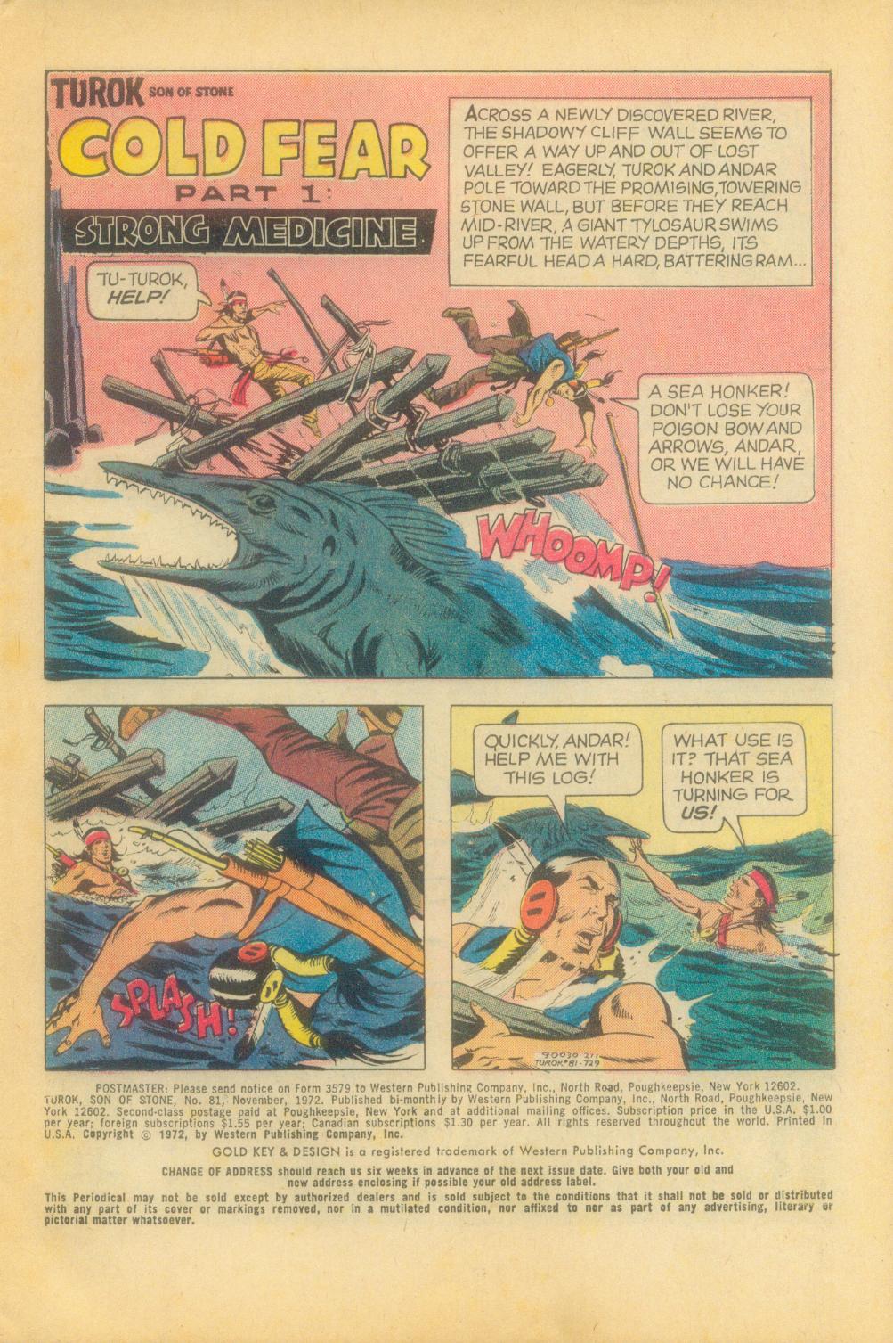 Read online Turok, Son of Stone comic -  Issue #81 - 3