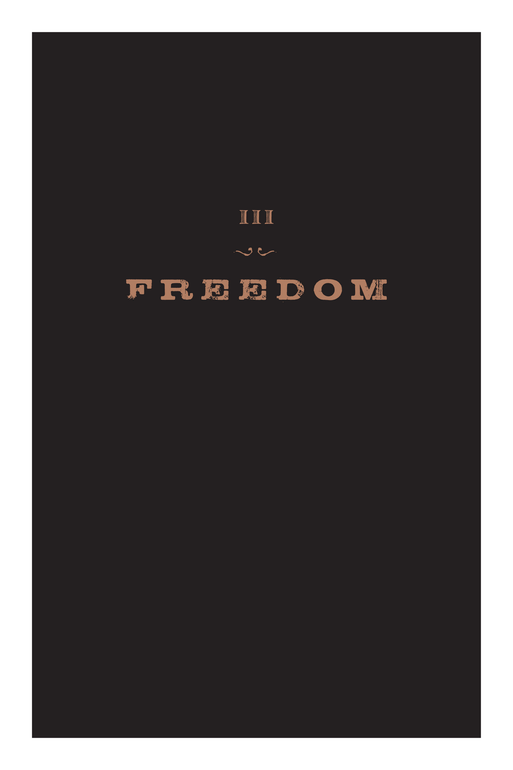 Read online Nat Turner comic -  Issue # TPB (Part 2) - 8