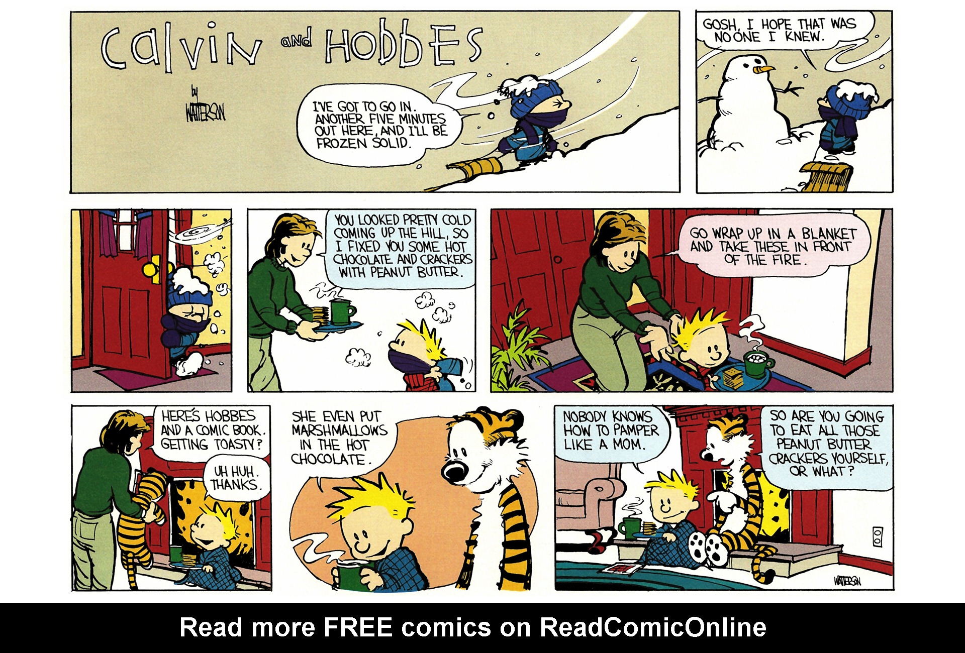 Read online Calvin and Hobbes comic -  Issue #3 - 139