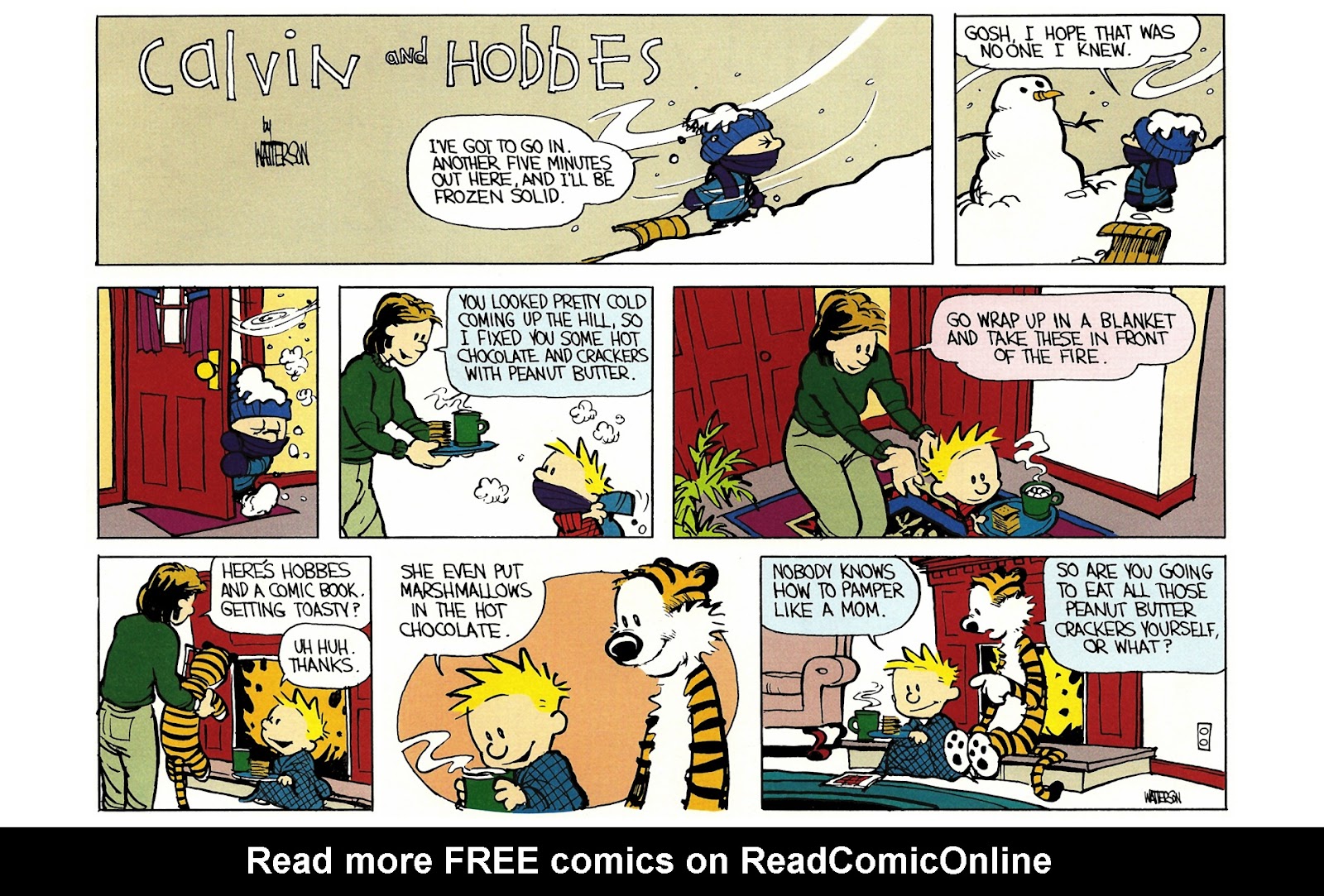 Calvin and Hobbes issue 3 - Page 139