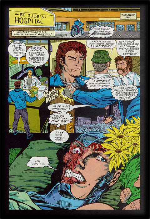 Read online Ghost Rider Collector's Edition comic -  Issue # Full - 9