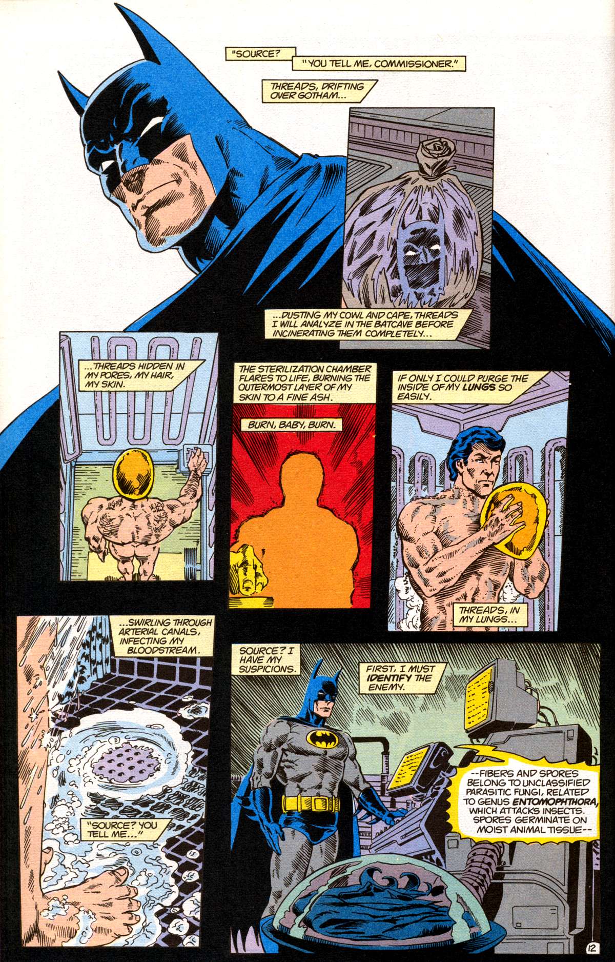 Read online Swamp Thing (1982) comic -  Issue # _Annual 4 - 13