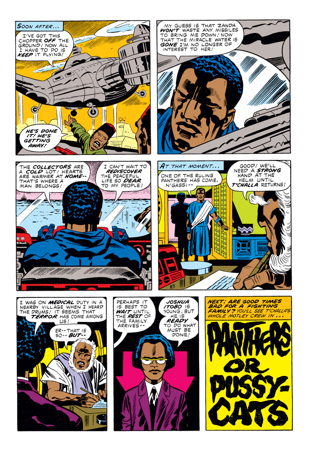 Read online Black Panther (1977) comic -  Issue #7 - 18