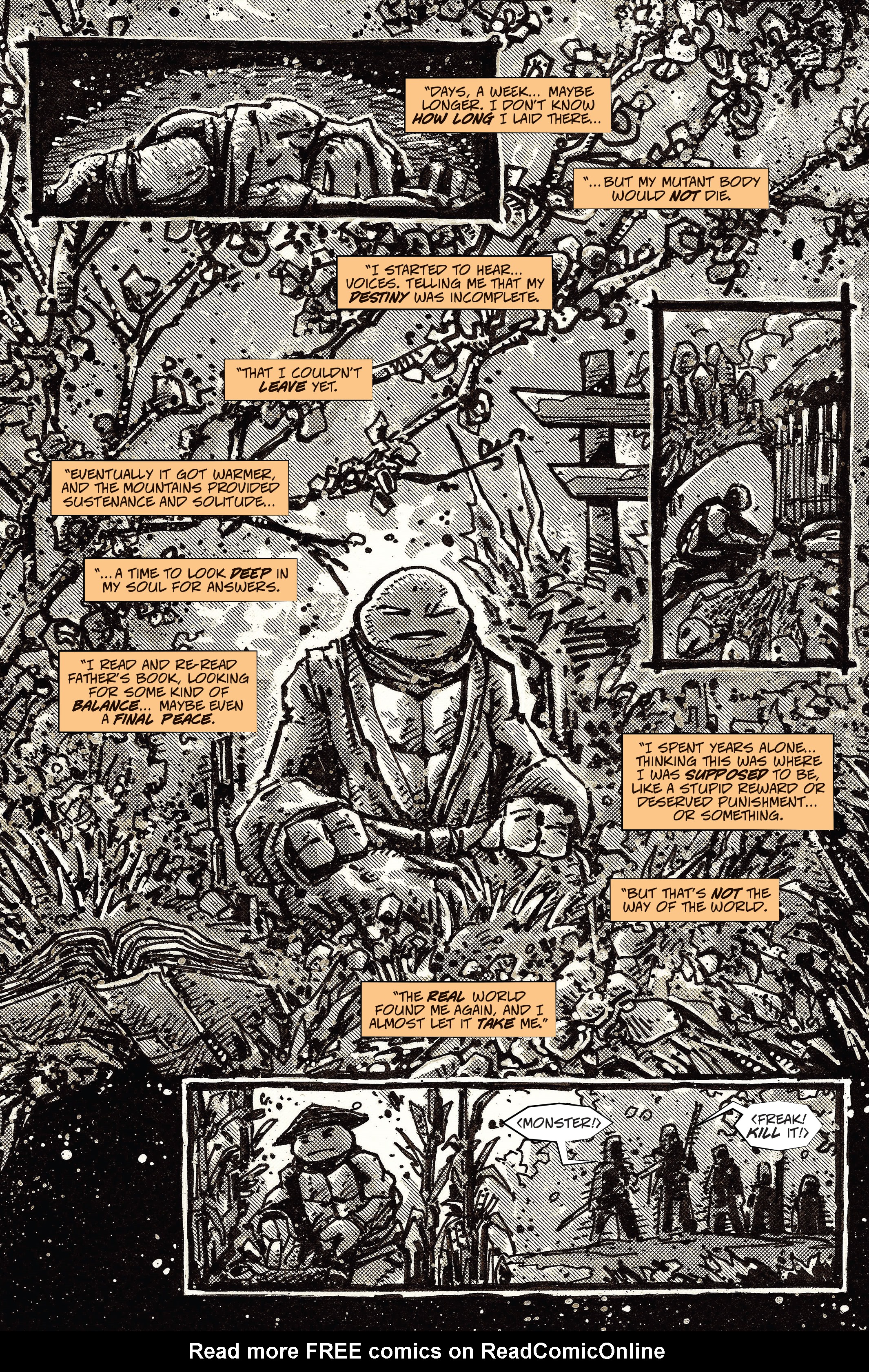 Read online Teenage Mutant Ninja Turtles: The Last Ronin comic -  Issue #2 - 37