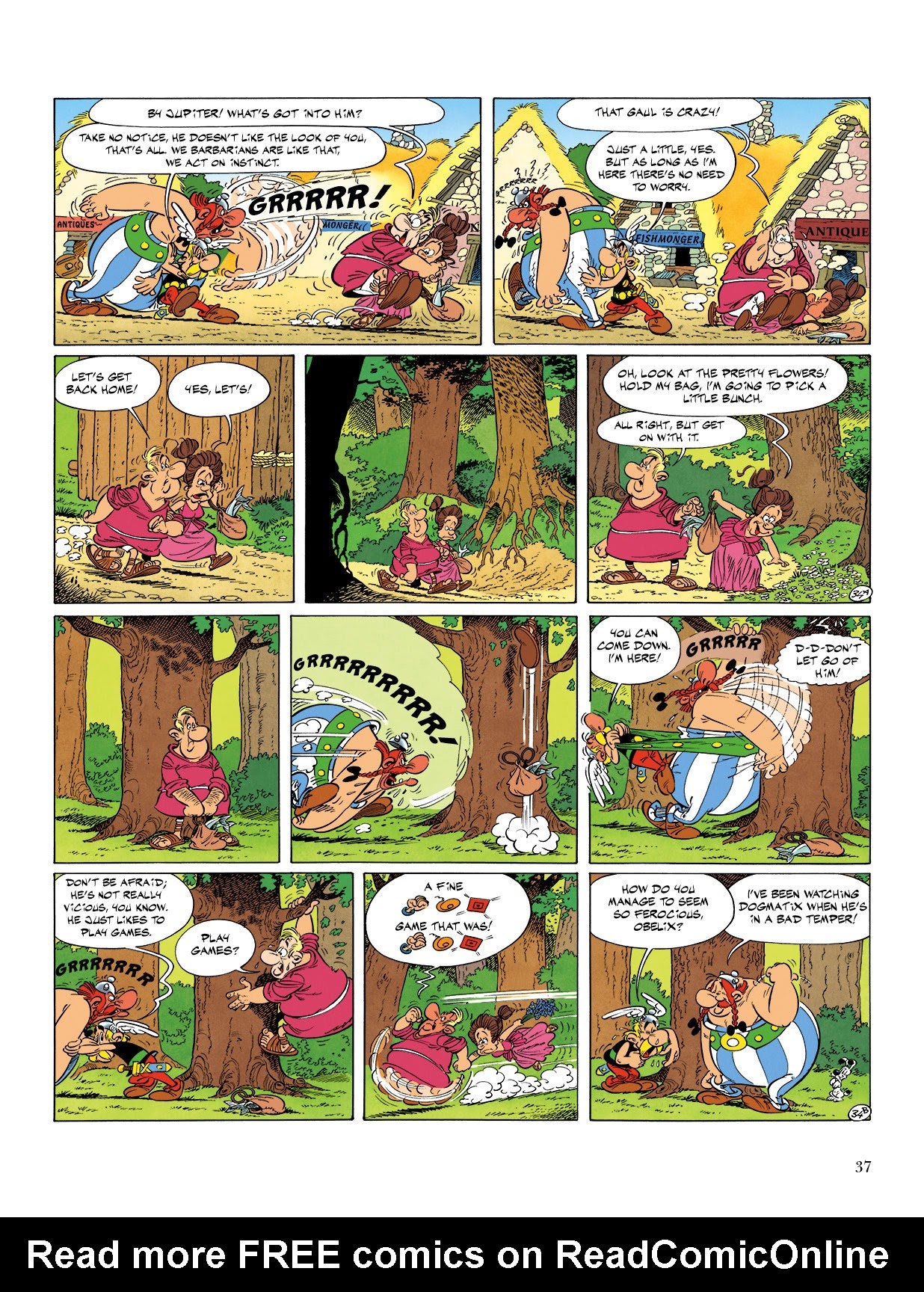 Read online Asterix comic -  Issue #17 - 38