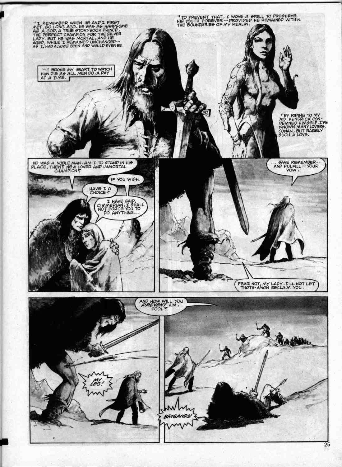 The Savage Sword Of Conan issue 74 - Page 24