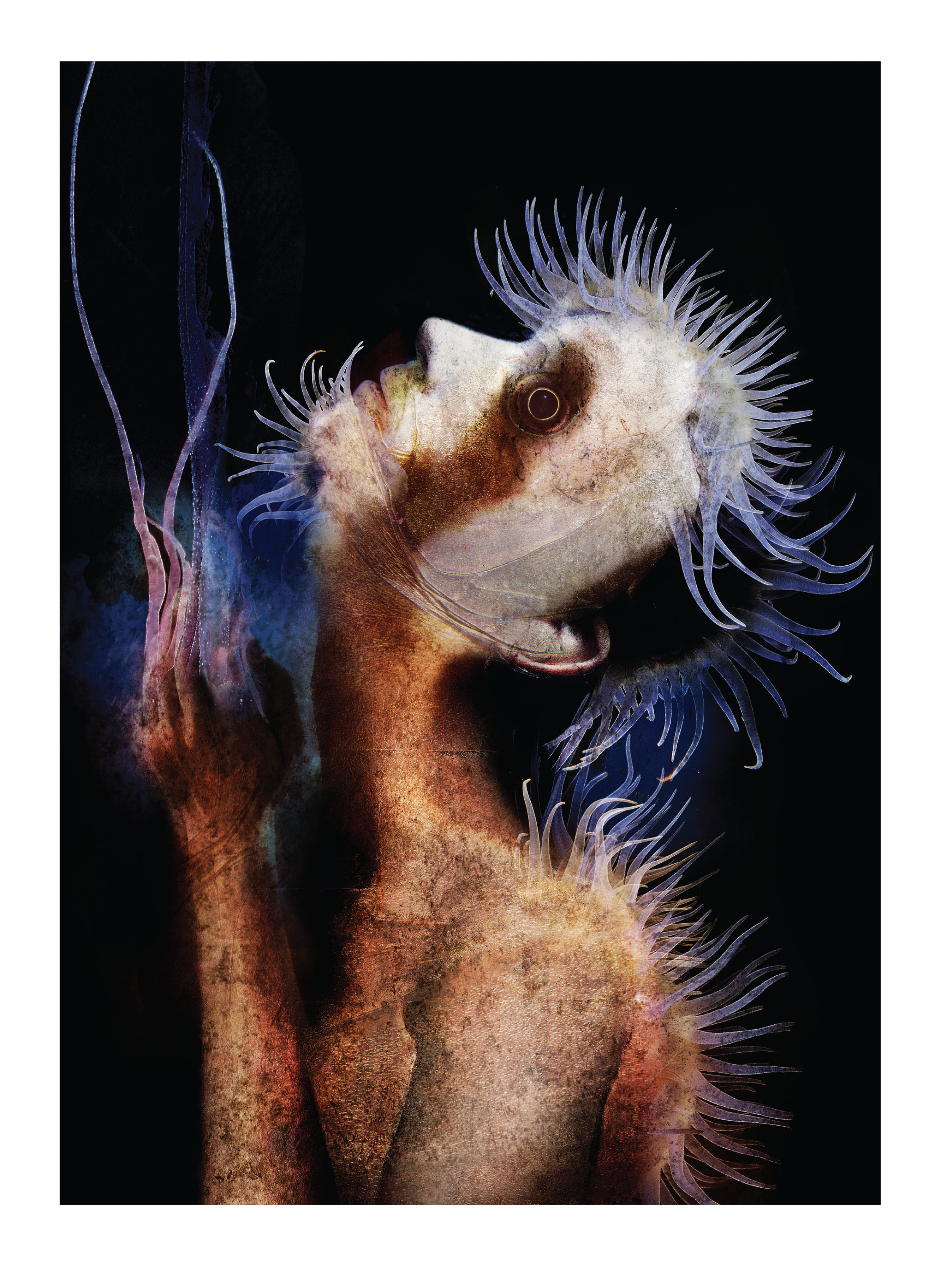 Read online Dream States: The Collected Dreaming Covers comic -  Issue # TPB (Part 1) - 95