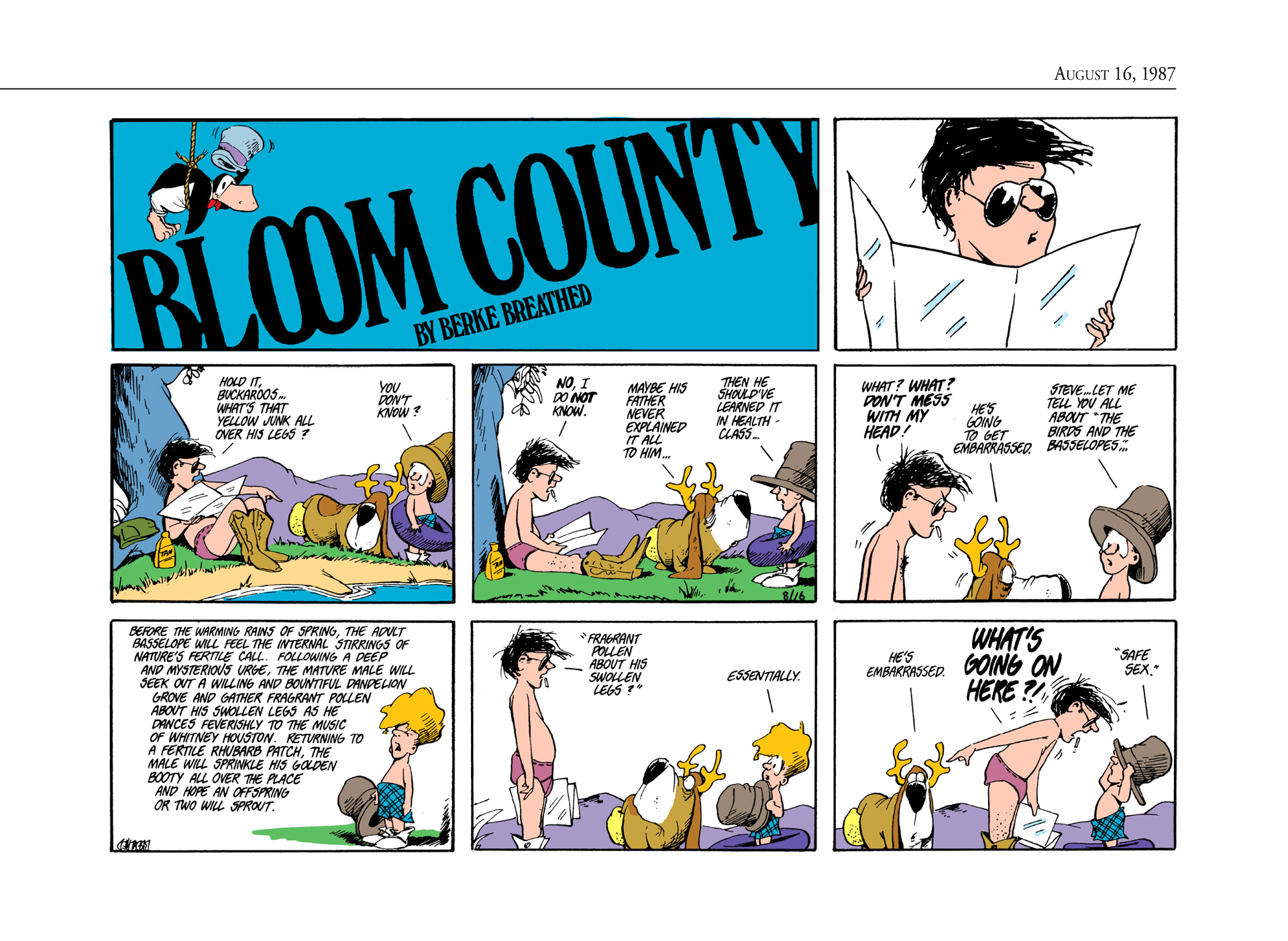 Read online The Bloom County Digital Library comic -  Issue # TPB 7 (Part 3) - 34