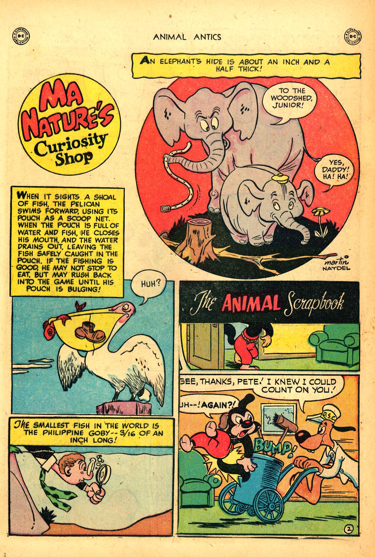 Read online Animal Antics comic -  Issue #21 - 19