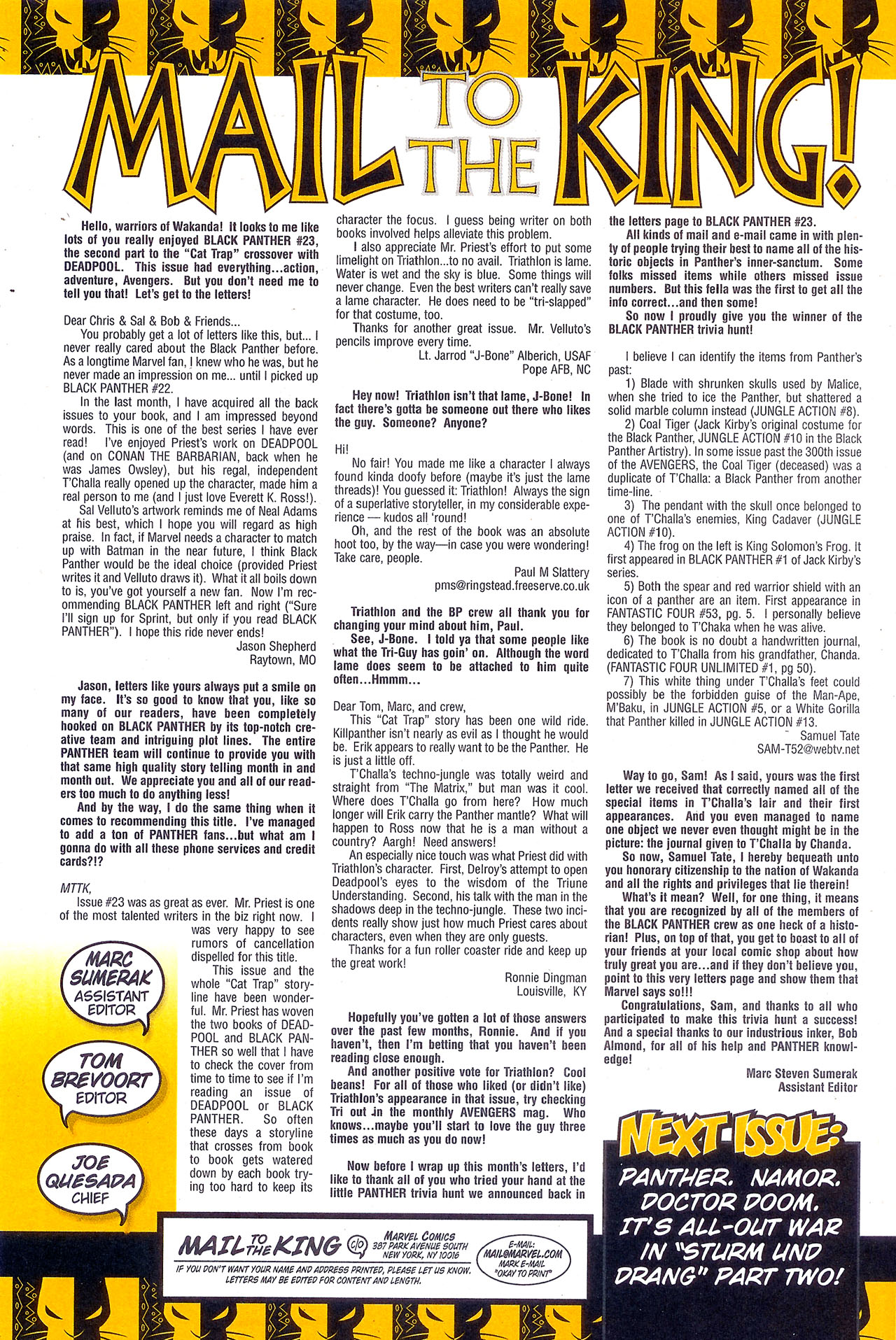 Read online Black Panther (1998) comic -  Issue #26 - 24