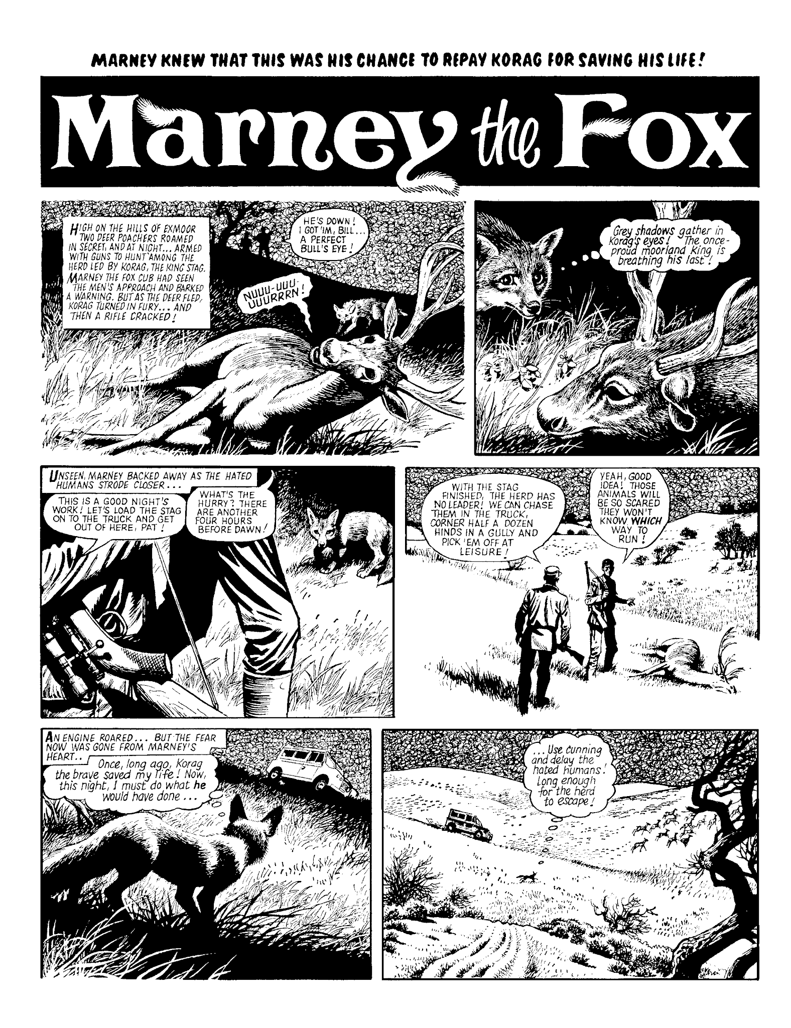 Read online Marney the Fox comic -  Issue # TPB (Part 2) - 6