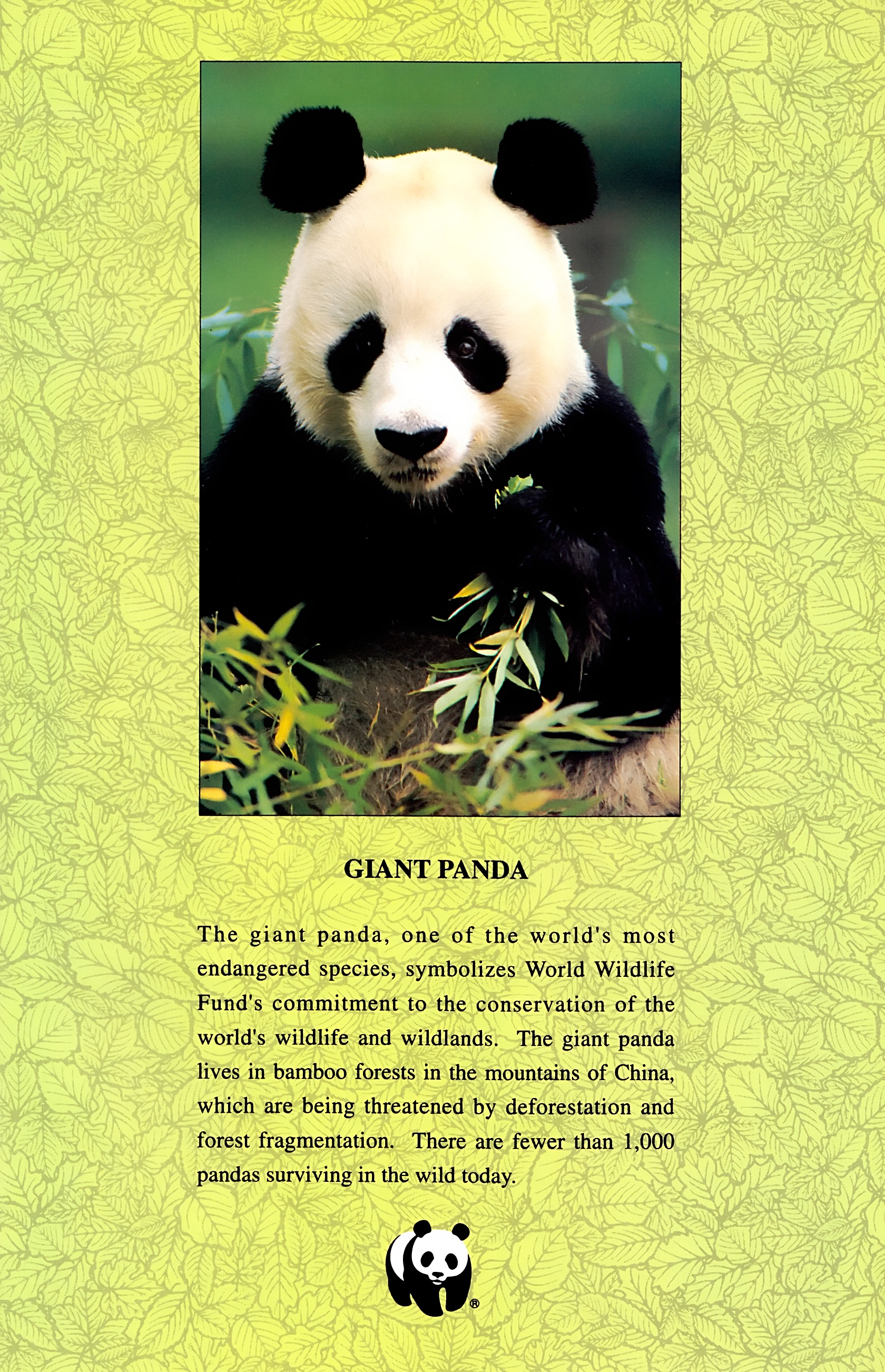 Read online Wolverine: Global Jeopardy comic -  Issue # Full - 31