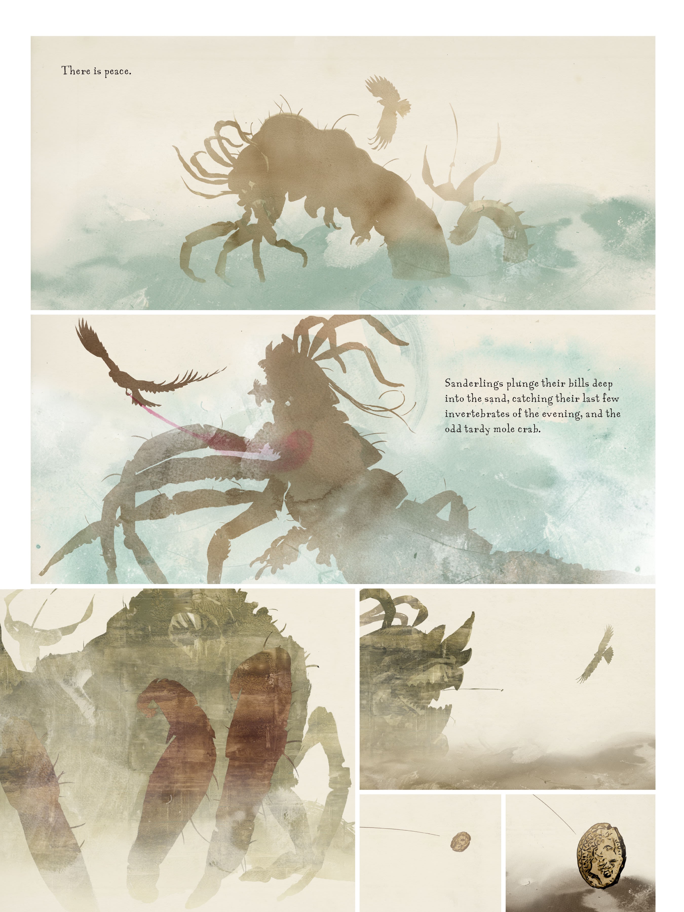 Read online Raptor: A Sokol Graphic Novel comic -  Issue # TPB - 19