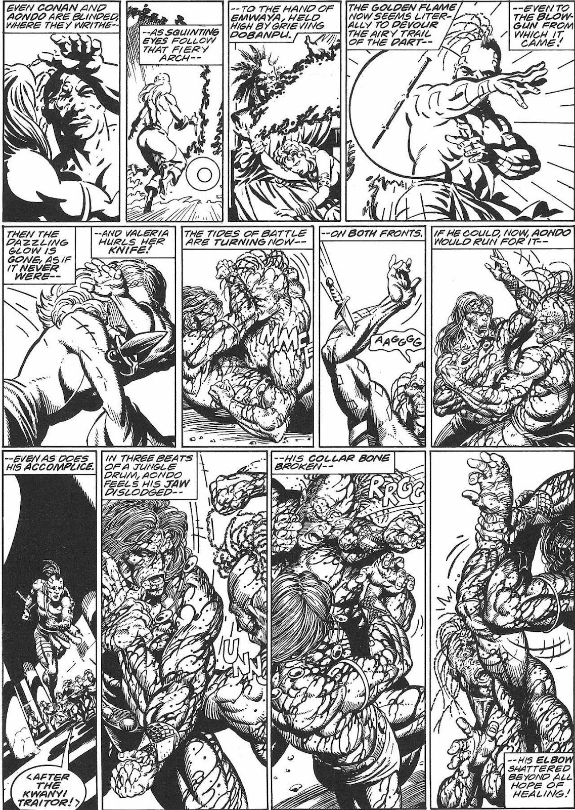 The Savage Sword Of Conan issue 213 - Page 22