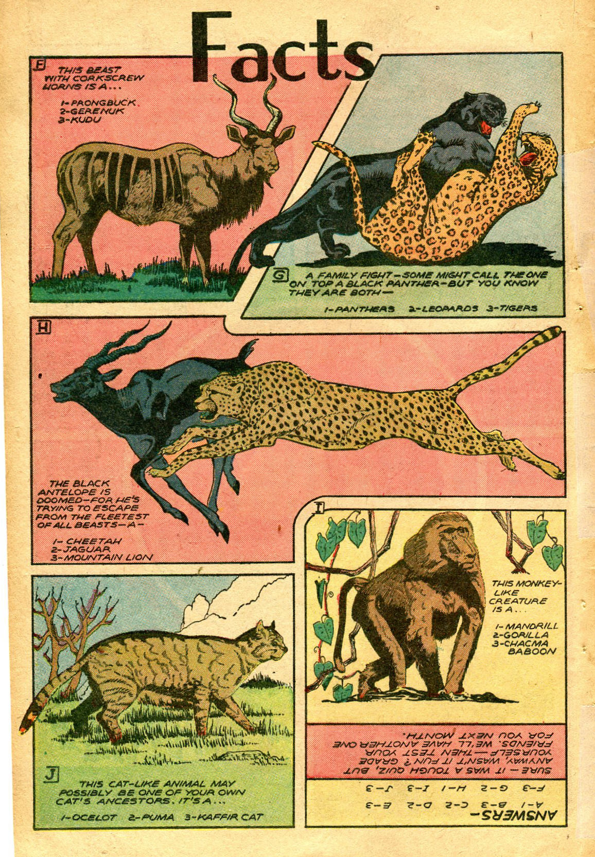Read online Jungle Comics comic -  Issue #76 - 43