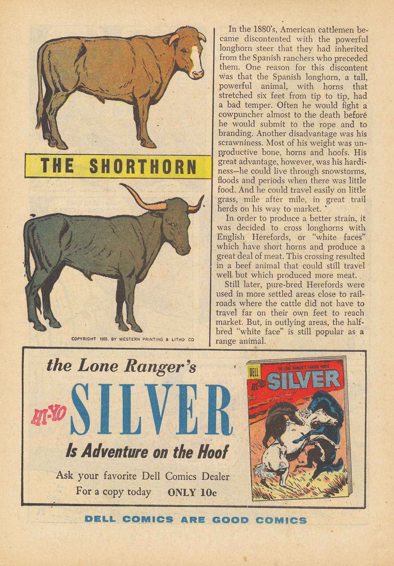 Read online The Lone Ranger (1948) comic -  Issue #88 - 34