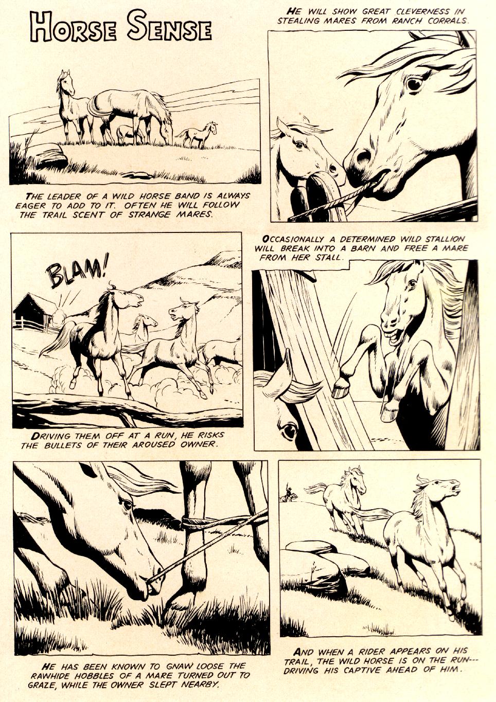 Read online Four Color Comics comic -  Issue #975 - 35