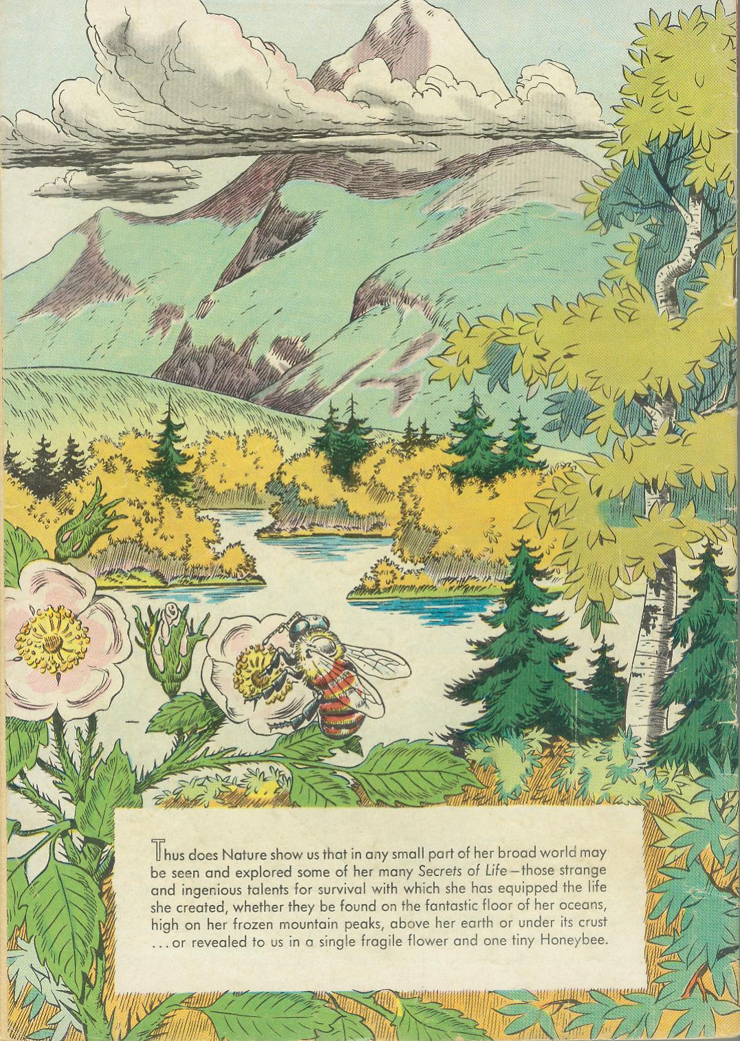 Read online Four Color Comics comic -  Issue #749 - 36