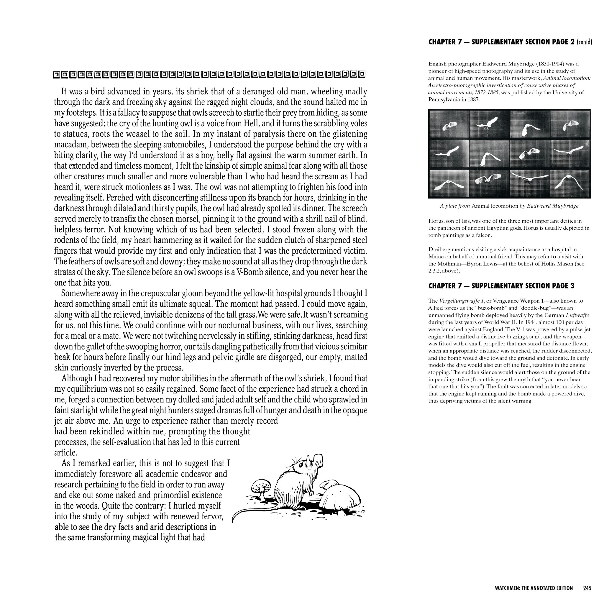 Read online Watchmen: The Annotated Edition comic -  Issue # TPB - 245