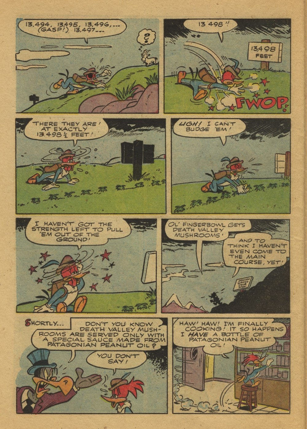 Read online Walter Lantz Woody Woodpecker (1952) comic -  Issue #23 - 24