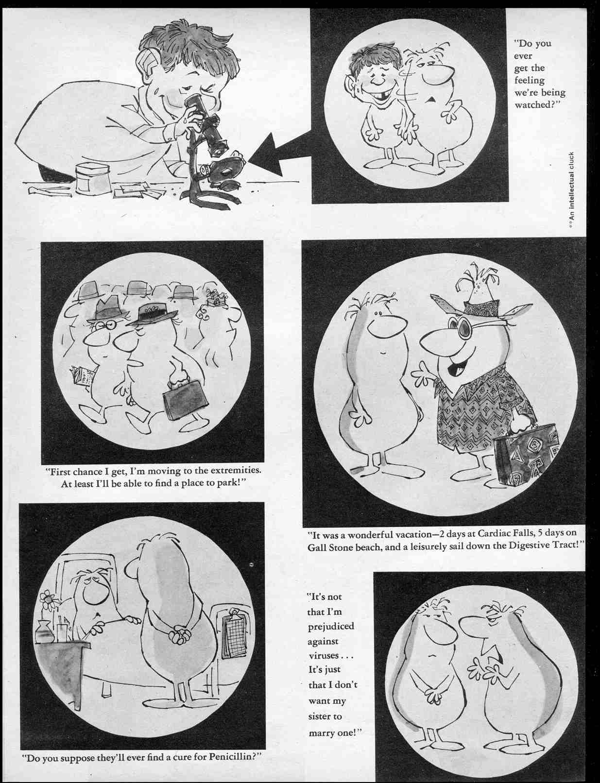 Read online MAD comic -  Issue #61 - 29