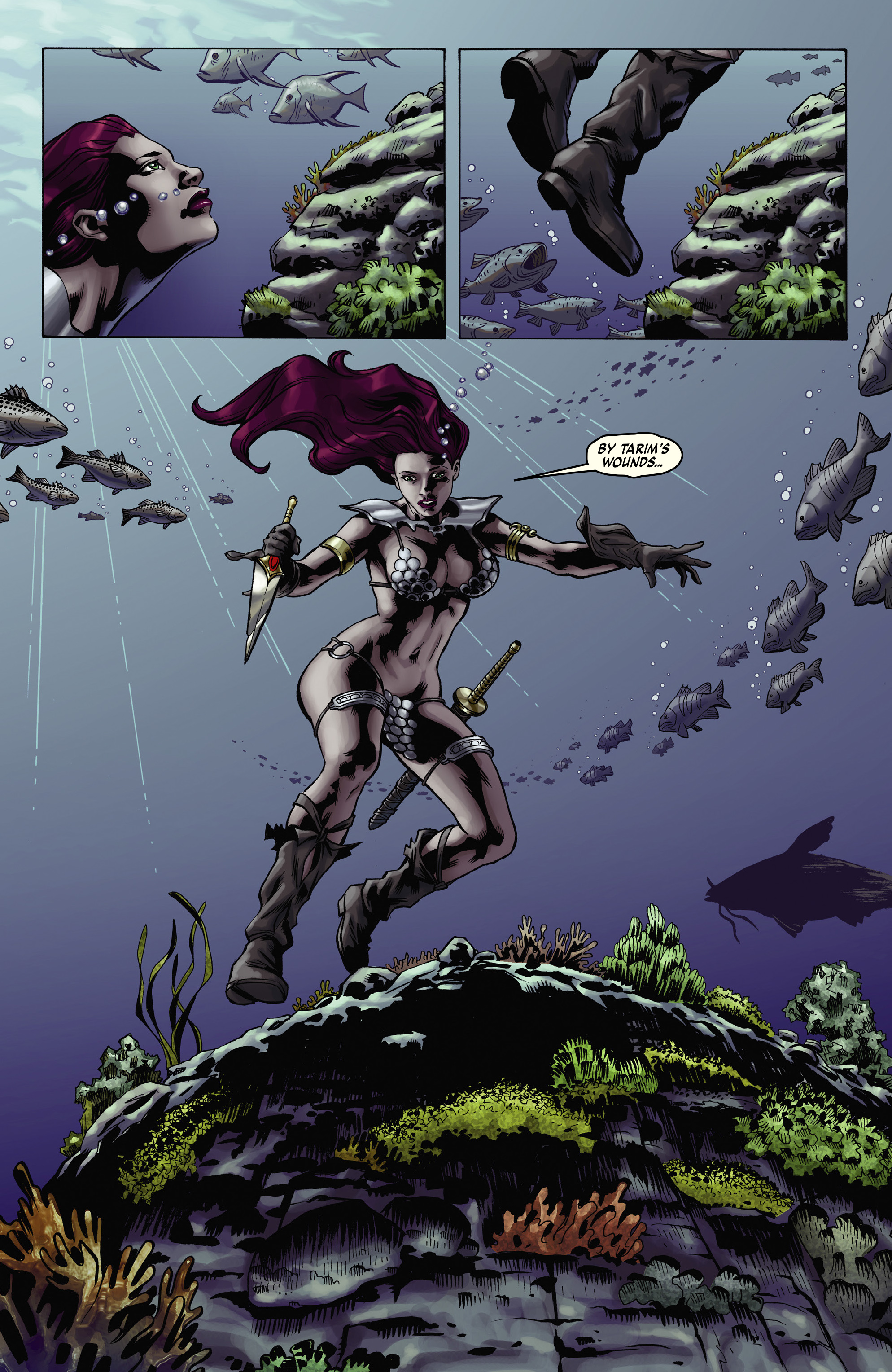 Read online Red Sonja Omnibus comic -  Issue # TPB 2 (Part 1) - 92