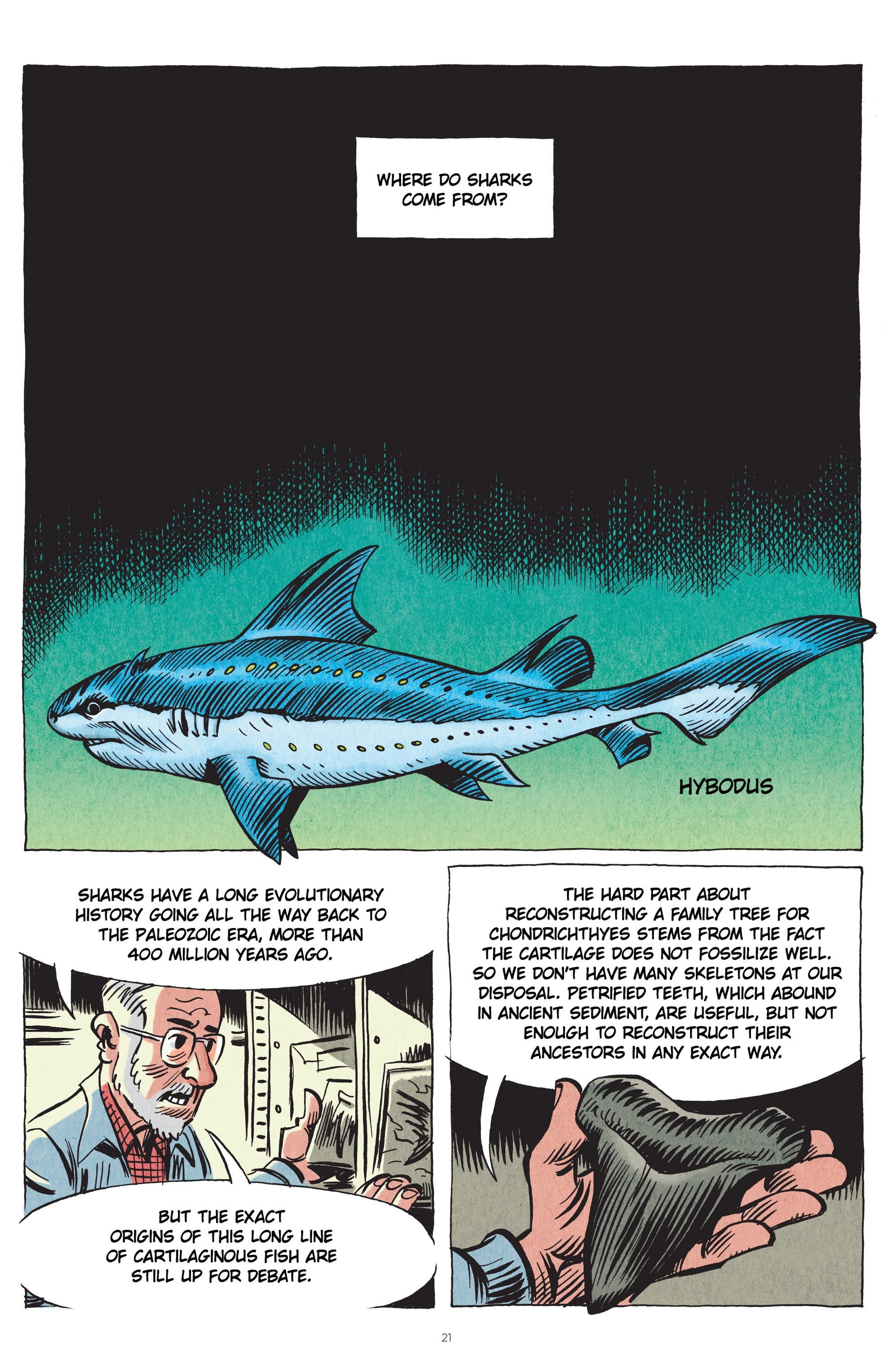 Read online Little Book of Knowledge: Sharks comic -  Issue # TPB - 21