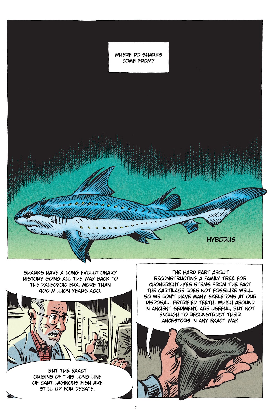 Little Book of Knowledge: Sharks issue TPB - Page 21