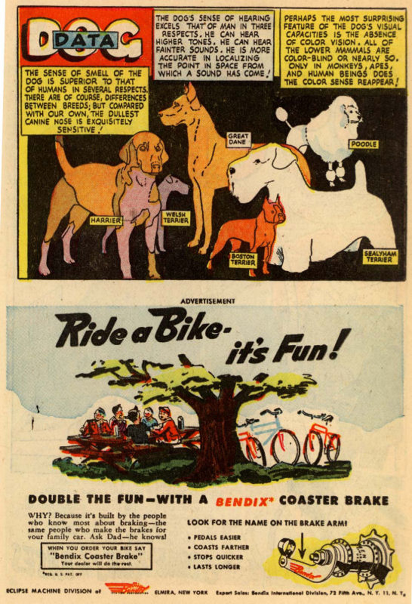 Read online The Adventures of Rex the Wonder Dog comic -  Issue #9 - 13
