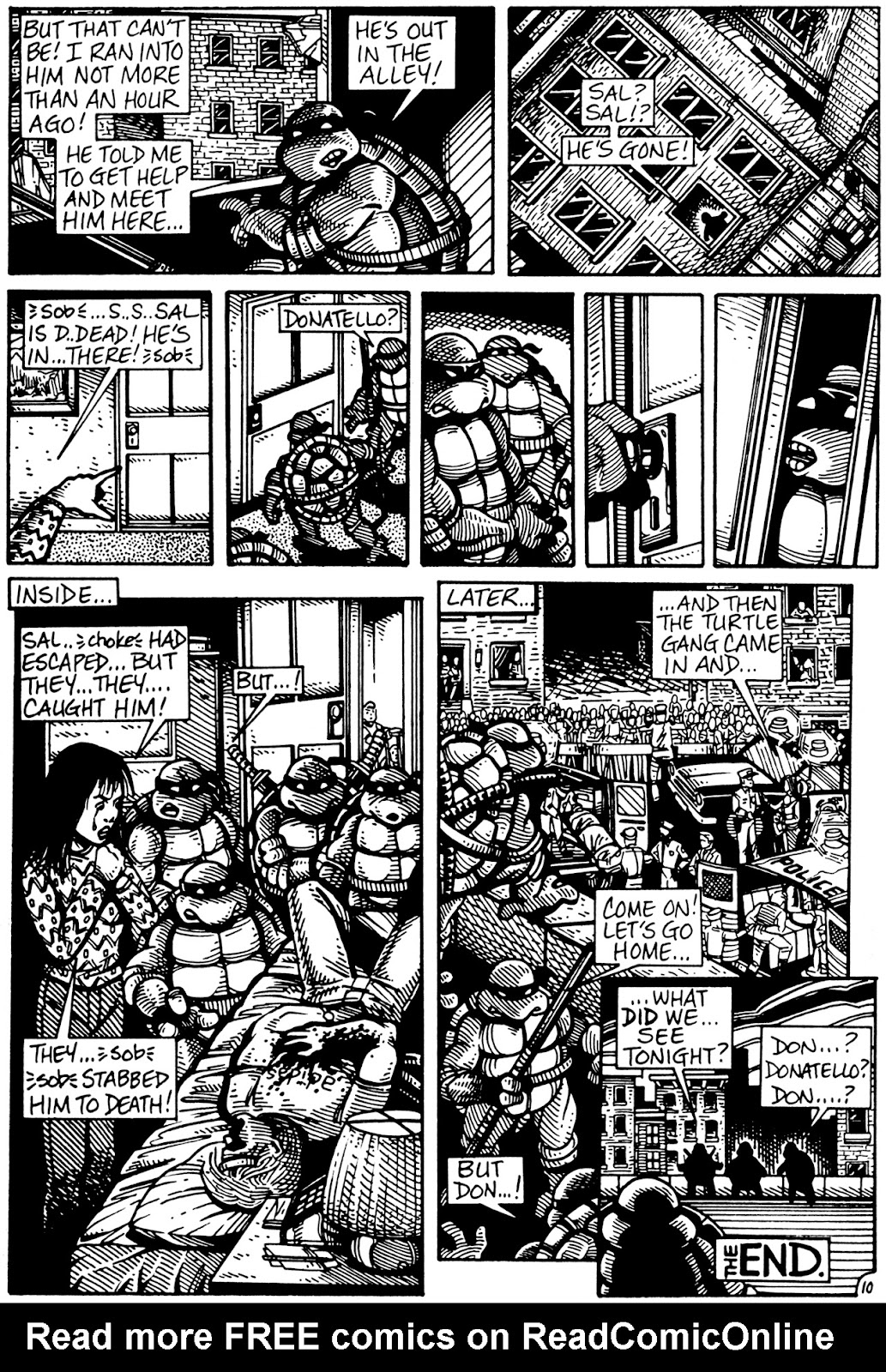 Turtle Soup (1987) issue Full - Page 43