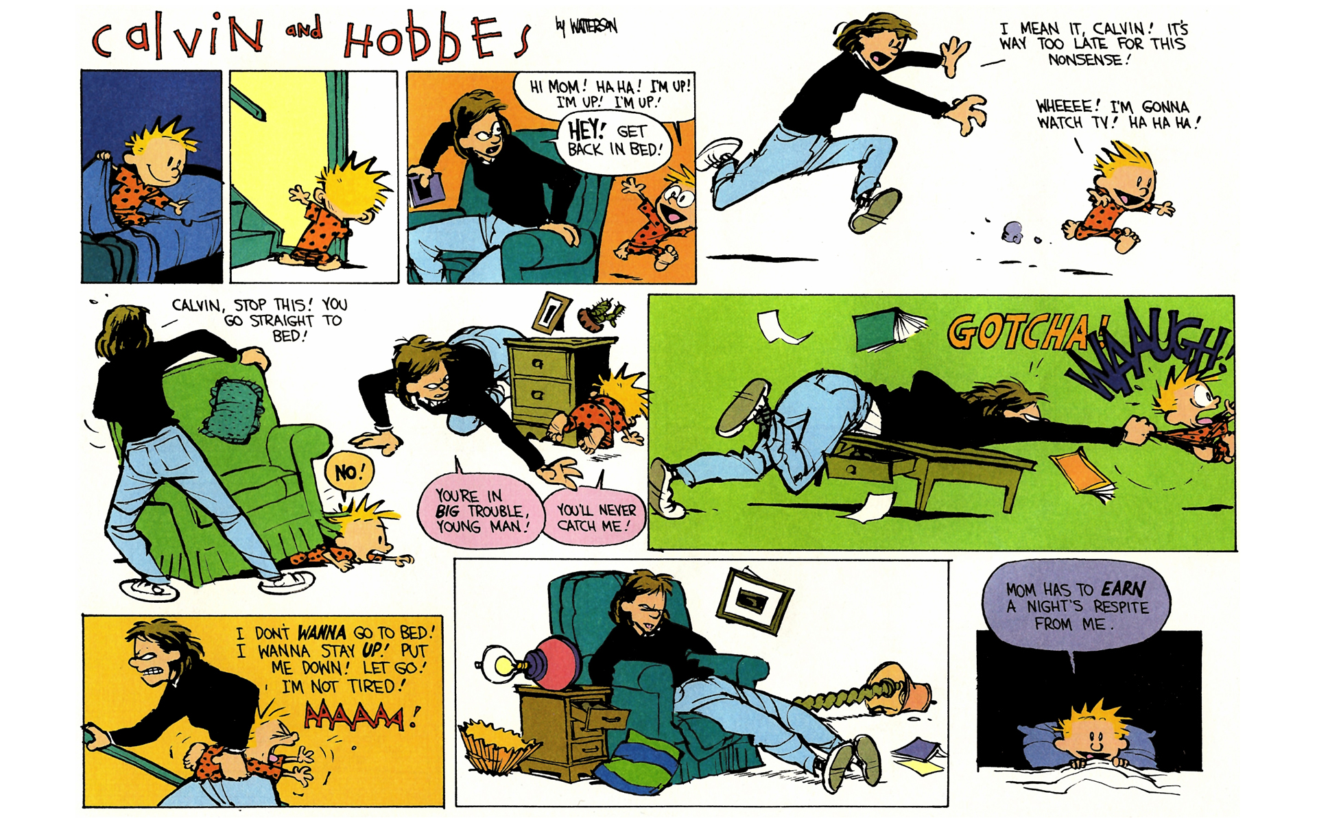 Read online Calvin and Hobbes comic -  Issue #9 - 101