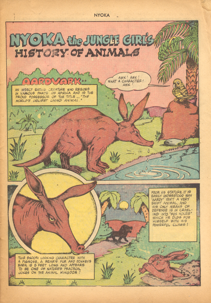 Read online Nyoka the Jungle Girl (1945) comic -  Issue #18 - 27