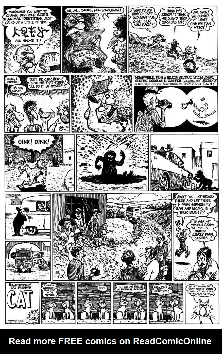 The Fabulous Furry Freak Brothers issue 4 - Page 15